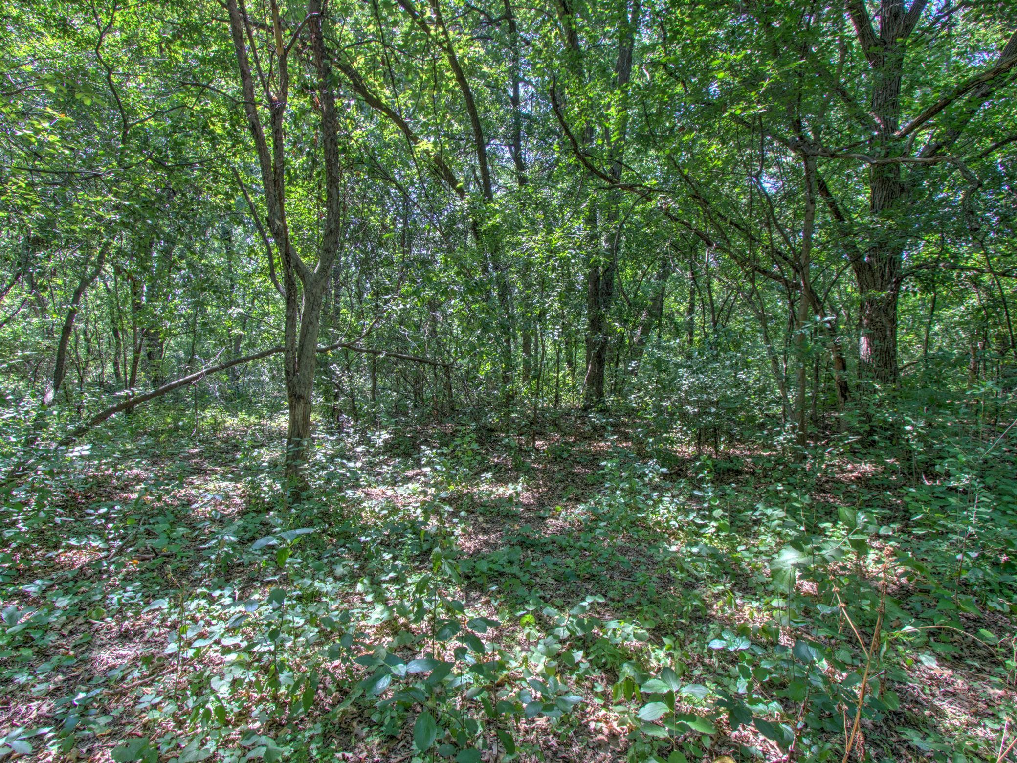 View of Land at TBD Sodium Street, Ramsey MN 55303, Ramsey (6 of 10) - Mike Wilen | Minnesota Team Real Estate
