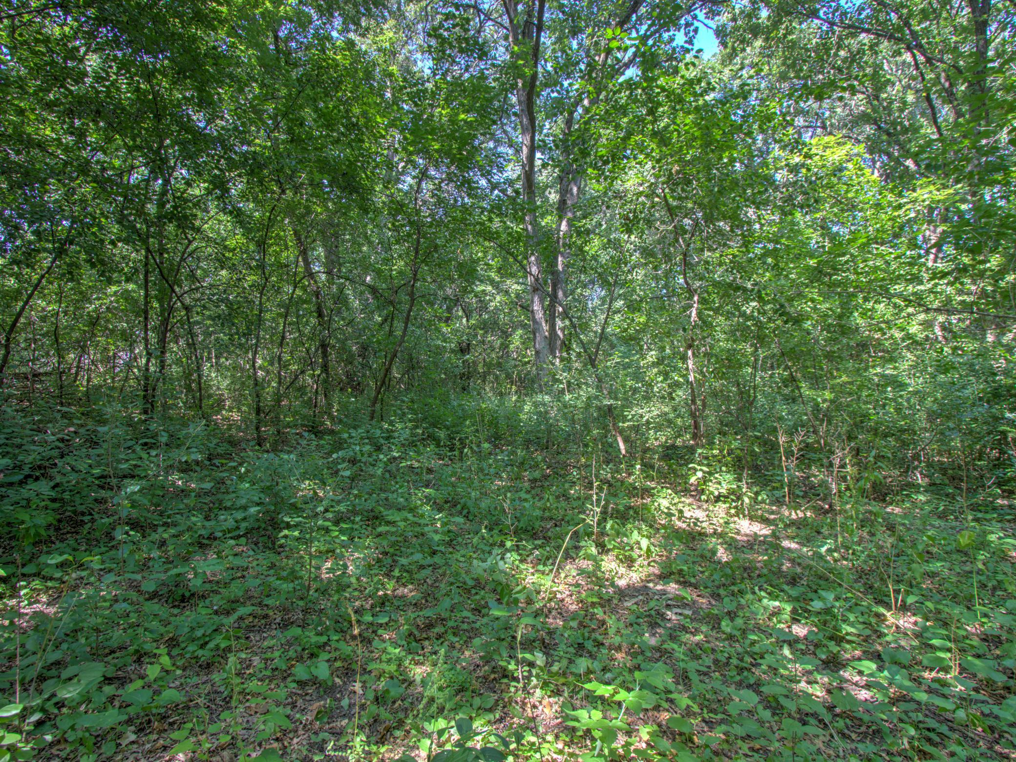 View of Land at TBD Sodium Street, Ramsey MN 55303, Ramsey (5 of 10) - Mike Wilen | Minnesota Team Real Estate