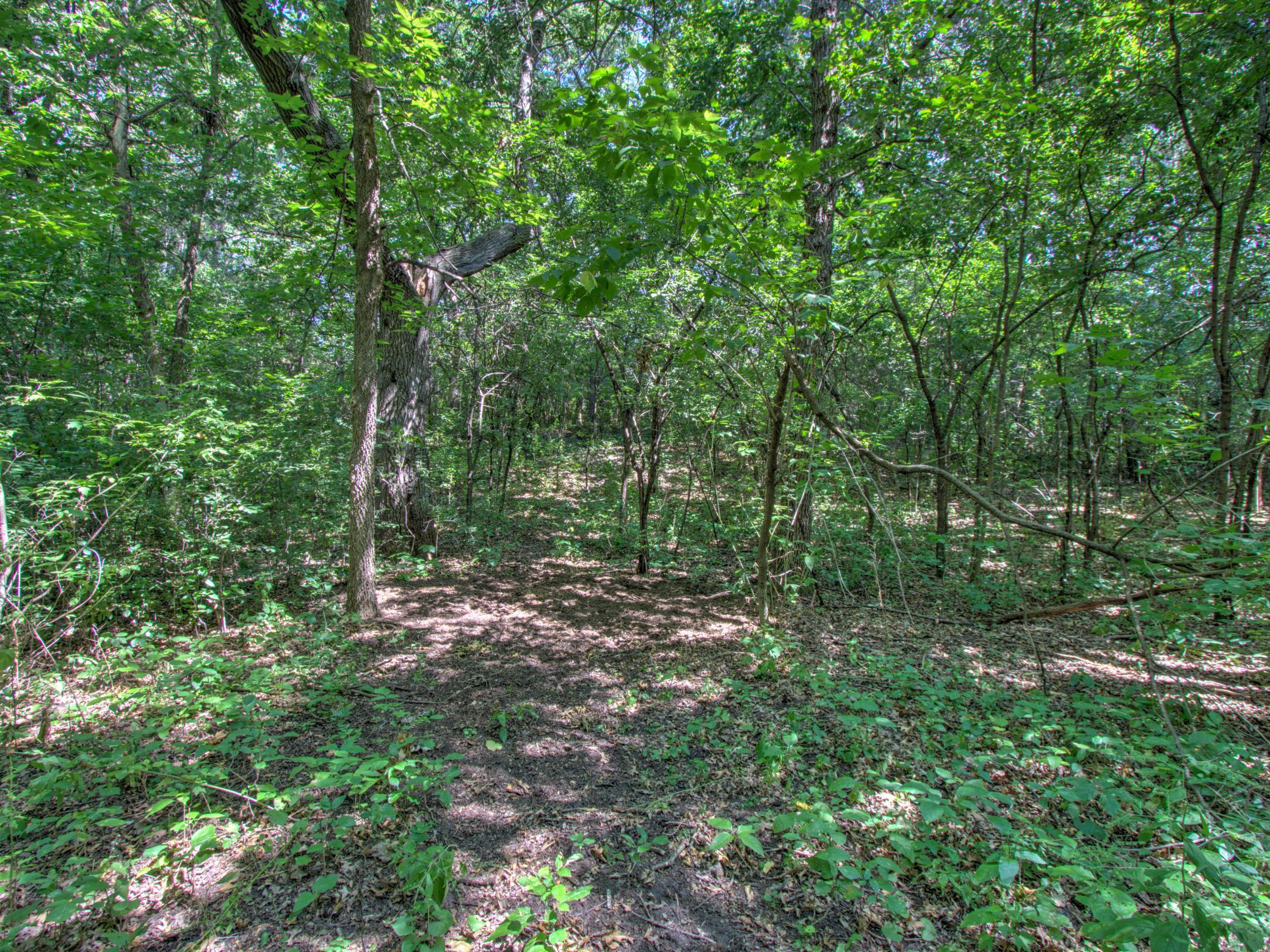 View of Land at TBD Sodium Street, Ramsey MN 55303, Ramsey (4 of 10) - Mike Wilen | Minnesota Team Real Estate