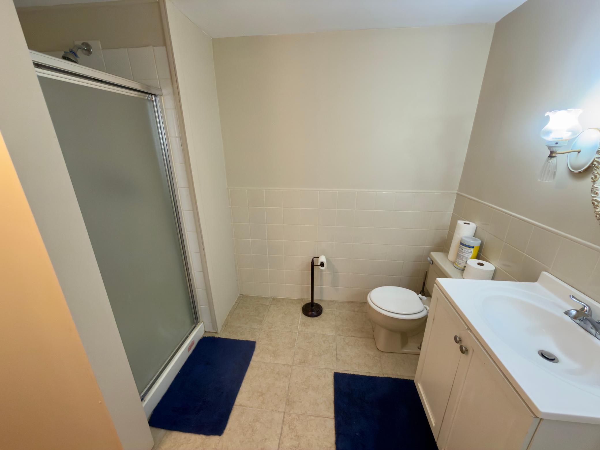 View of Residential at 243 Winifred Street, Saint Paul MN 55107, Saint Paul (26 of 35) - Mike Wilen | Minnesota Team Real Estate
