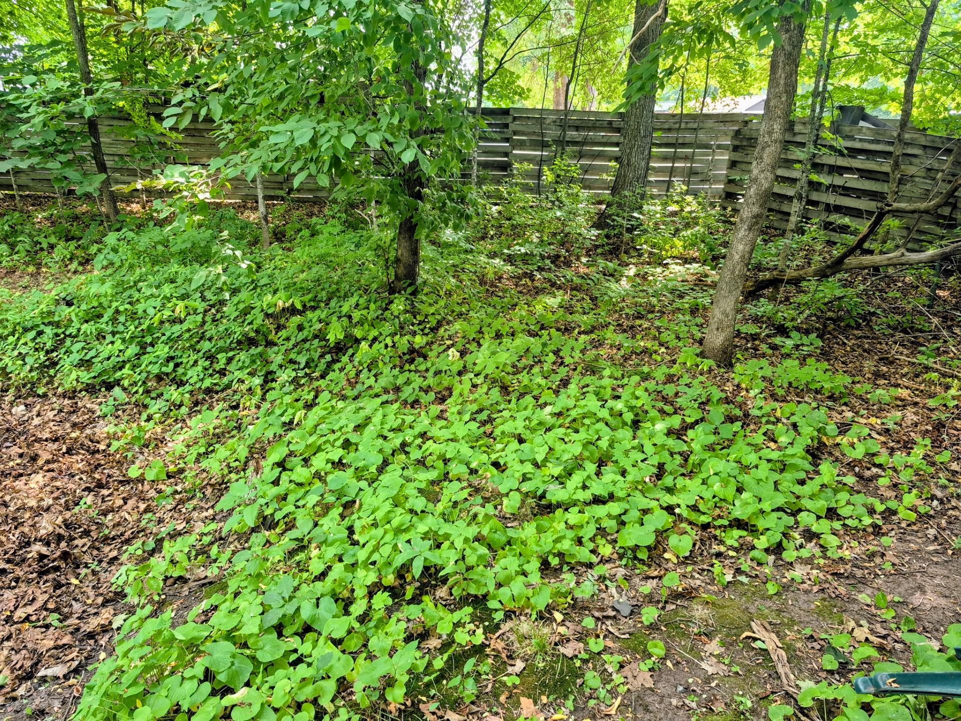 View of Land at 5402 Whistle Road, Isle MN 56342, Isle (18 of 19) - Mike Wilen | Minnesota Team Real Estate