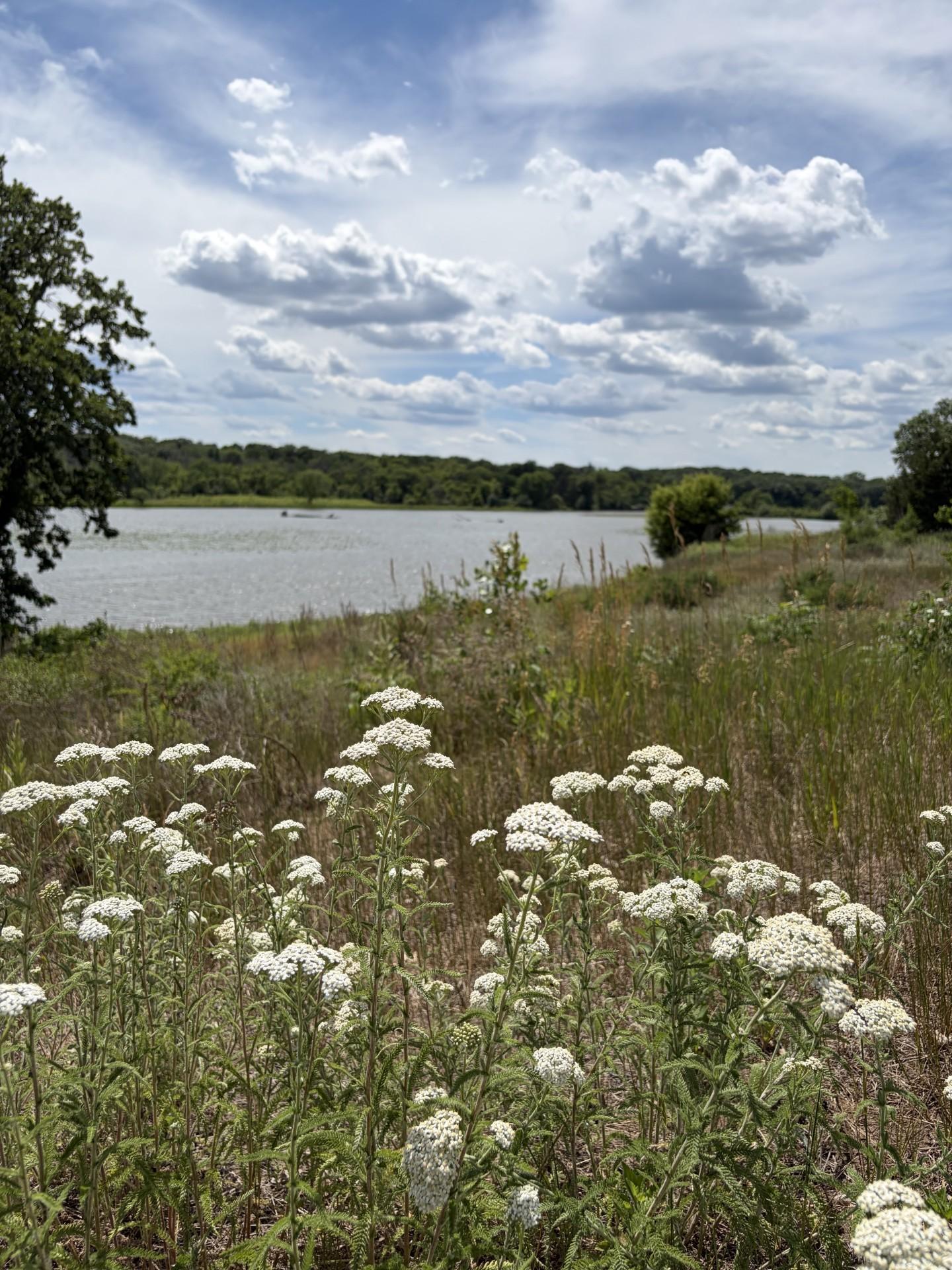 View of Residential at 10583 Mississippi Dunes Trail, Cottage Grove MN 55016, Cottage Grove (44 of 57) - Mike Wilen | Minnesota Team Real Estate