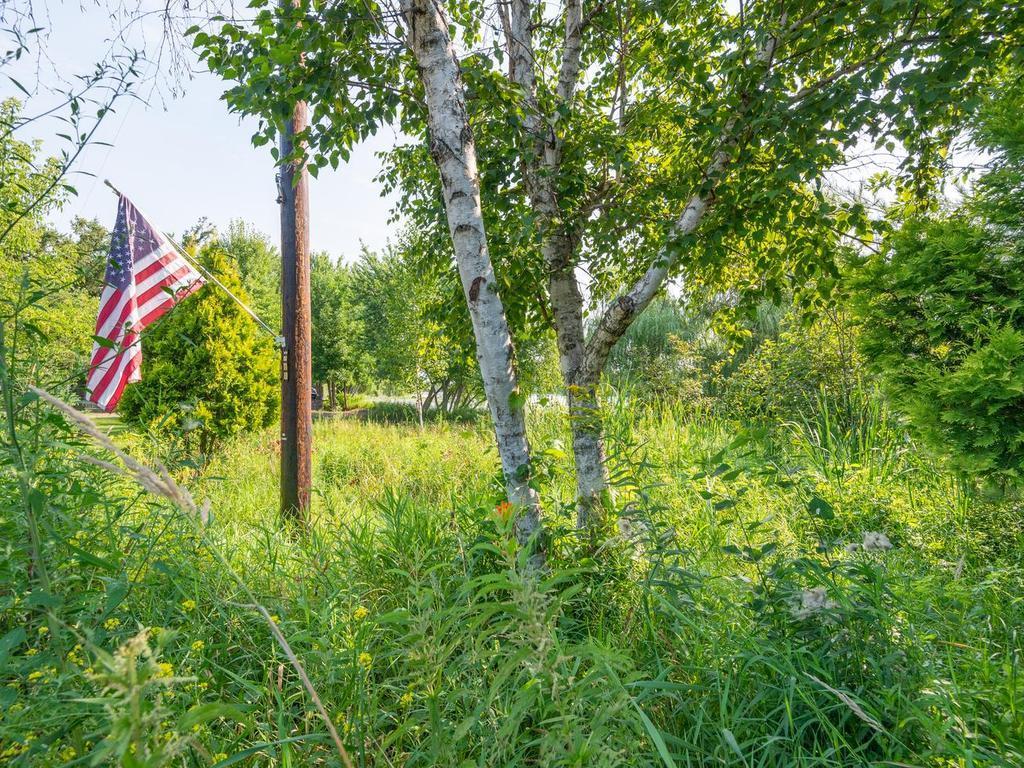 View of Residential at 29729 Dahlia Street, Isanti MN 55040, Isanti (39 of 46) - Mike Wilen | Minnesota Team Real Estate