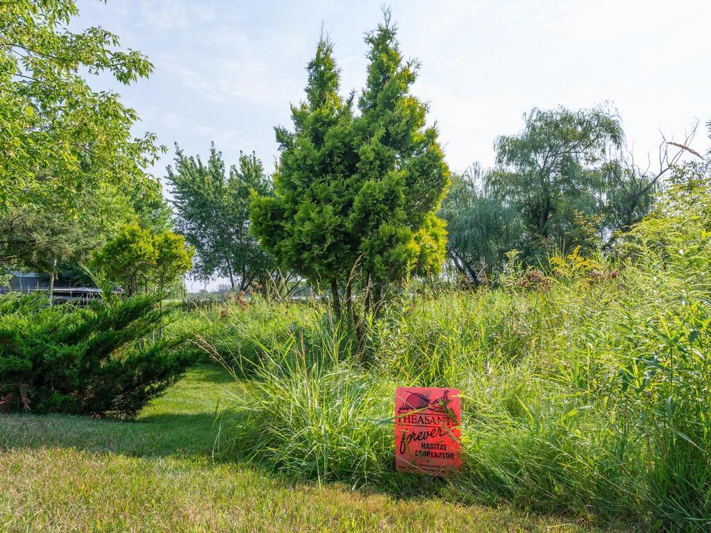 View of Residential at 29729 Dahlia Street, Isanti MN 55040, Isanti (38 of 46) - Mike Wilen | Minnesota Team Real Estate