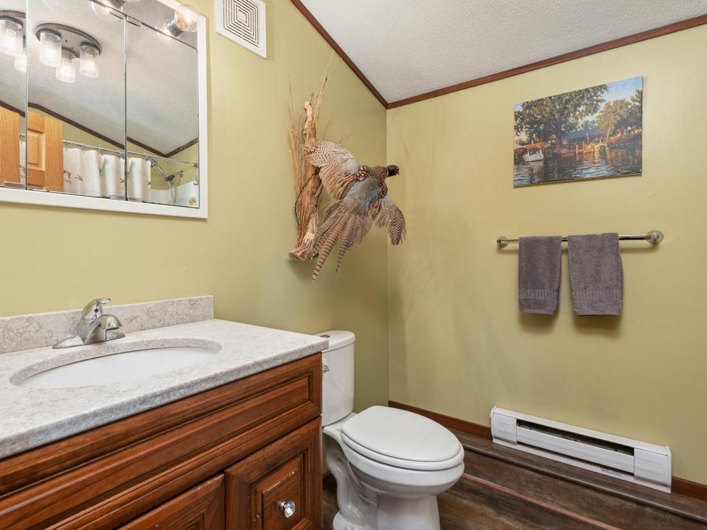 View of Residential at 29729 Dahlia Street, Isanti MN 55040, Isanti (19 of 46) - Mike Wilen | Minnesota Team Real Estate