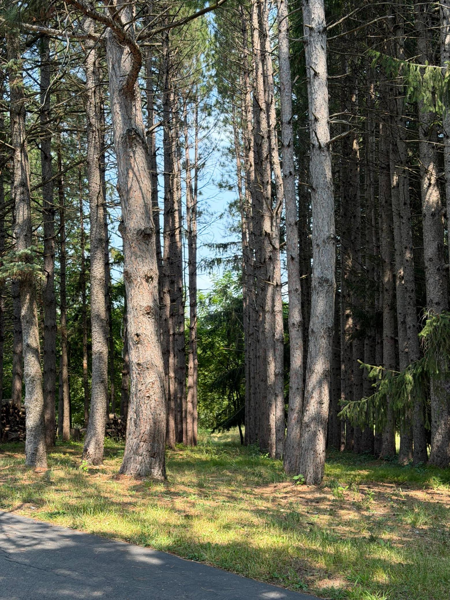 View of Residential at 26126 Pillsbury Avenue, Elko New Market MN 55020, Elko New Market (55 of 65) - Mike Wilen | Minnesota Team Real Estate