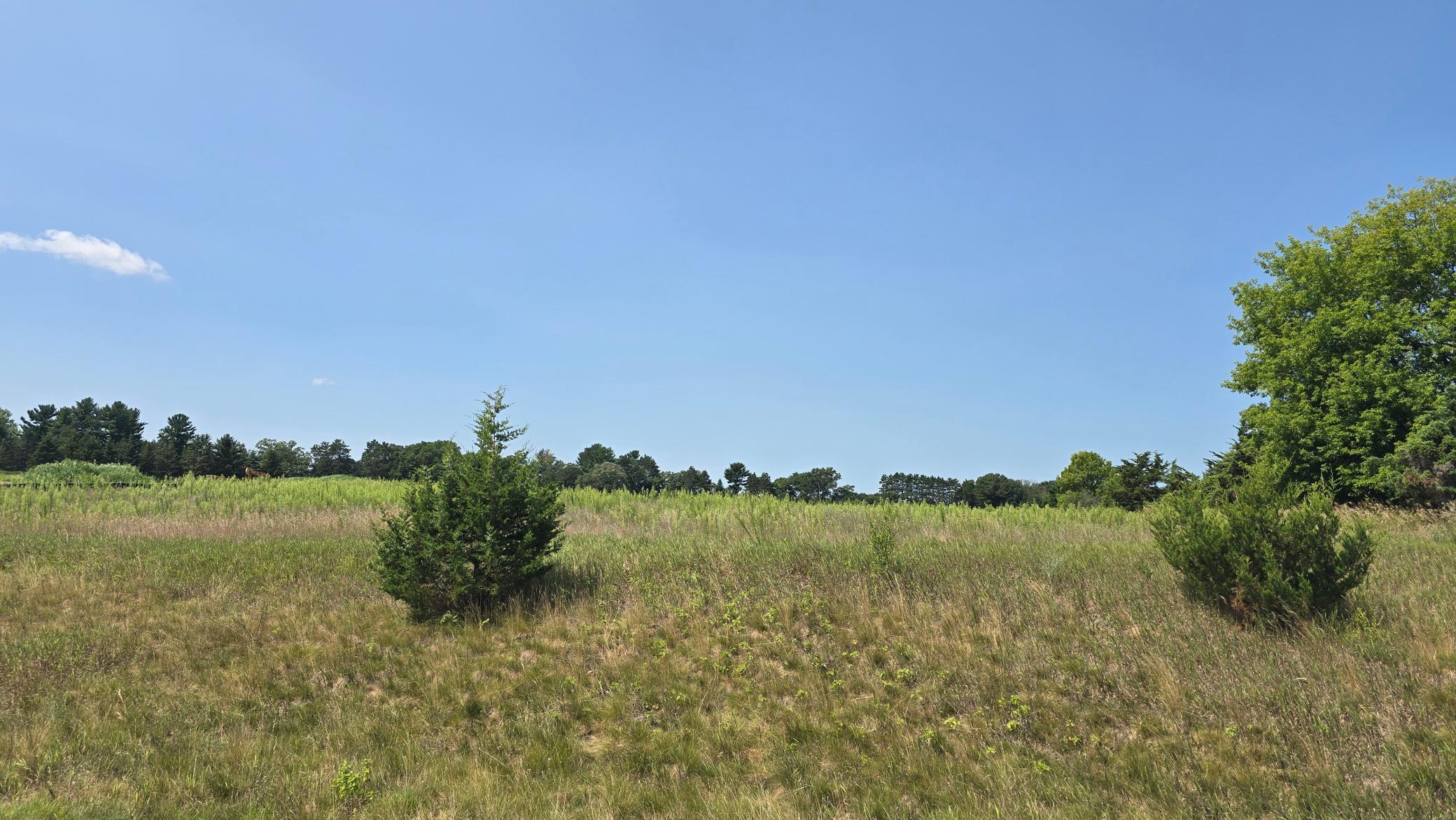 View of Land at 19xxx Tamarack Street, Oak Grove MN 55011, Oak Grove (3 of 4) - Mike Wilen | Minnesota Team Real Estate
