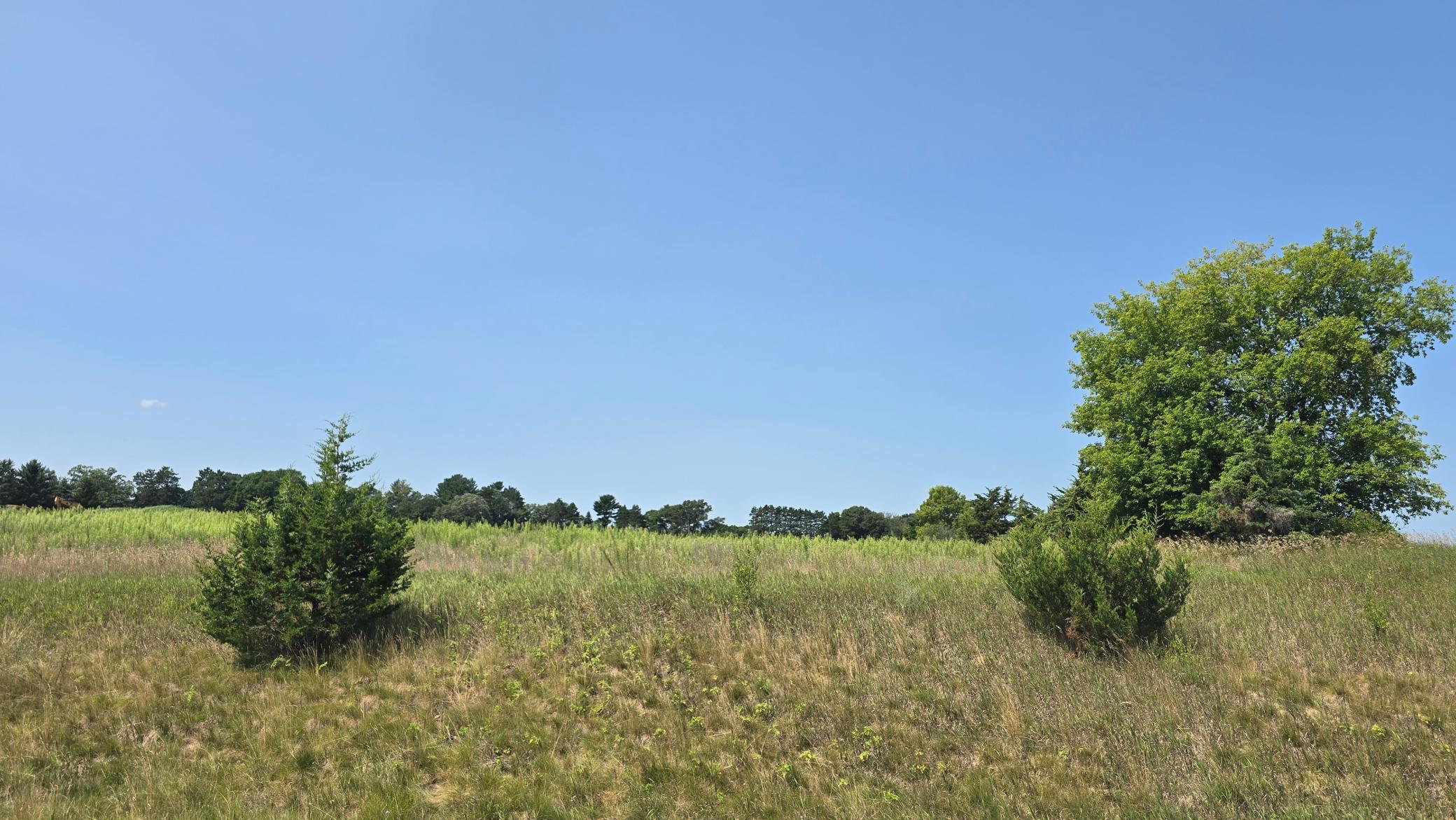 View of Land at 19xxx Tamarack Street, Oak Grove MN 55011, Oak Grove (2 of 4) - Mike Wilen | Minnesota Team Real Estate