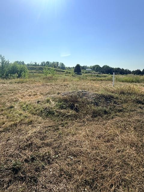 View of Land at 2574 Buffalo Ridge Drive, Buffalo MN 55313, Buffalo (2 of 4) - Mike Wilen | Minnesota Team Real Estate