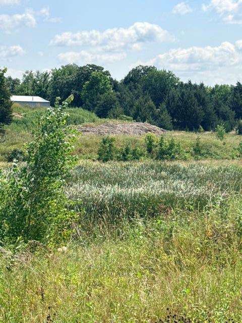 View of Land at 2574 Buffalo Ridge Drive, Buffalo MN 55313, Buffalo - Mike Wilen | Minnesota Team Real Estate