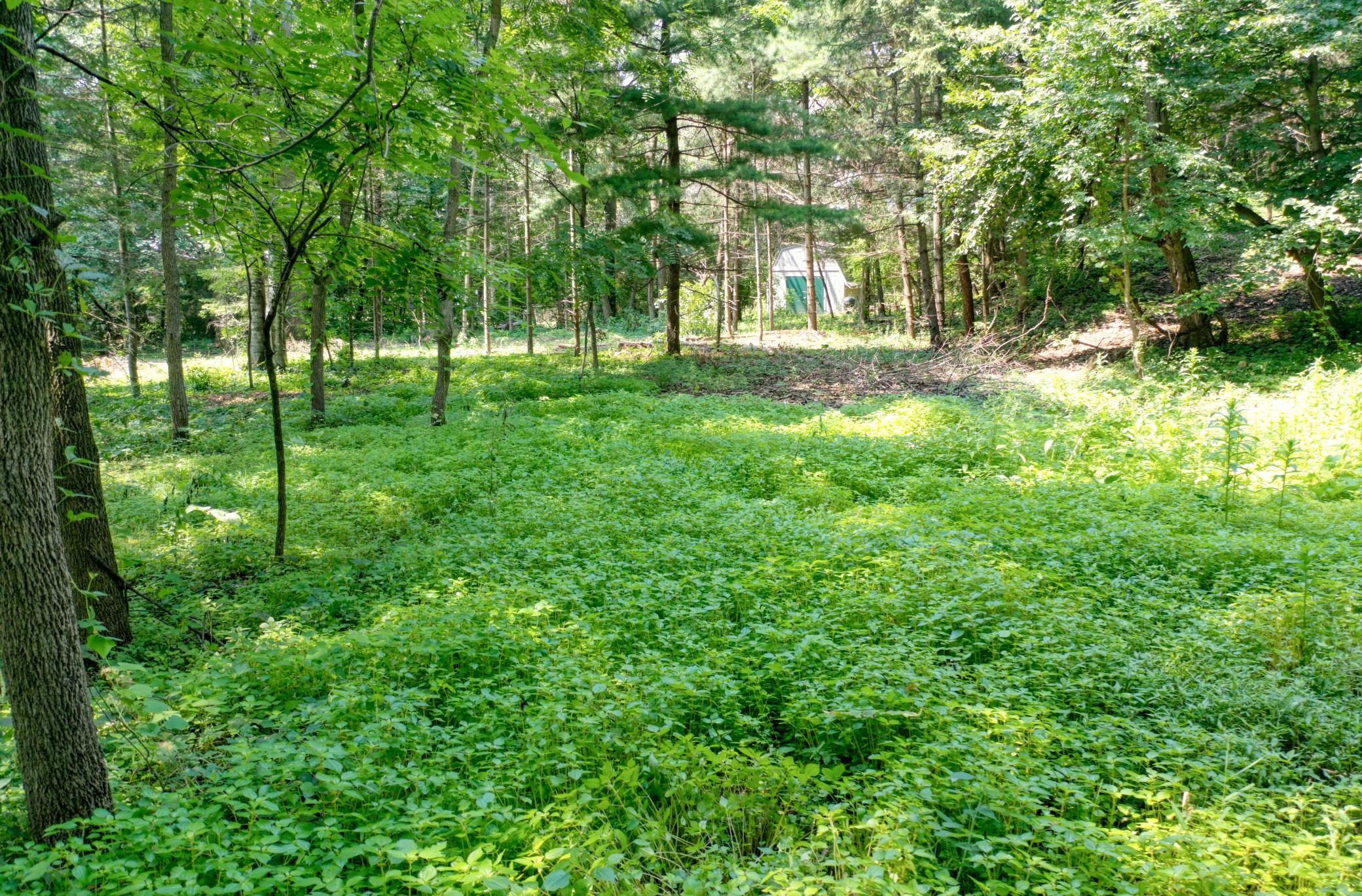 View of Land at TBD 219th Street N, Forest Lake MN 55025, Forest Lake - Mike Wilen | Minnesota Team Real Estate