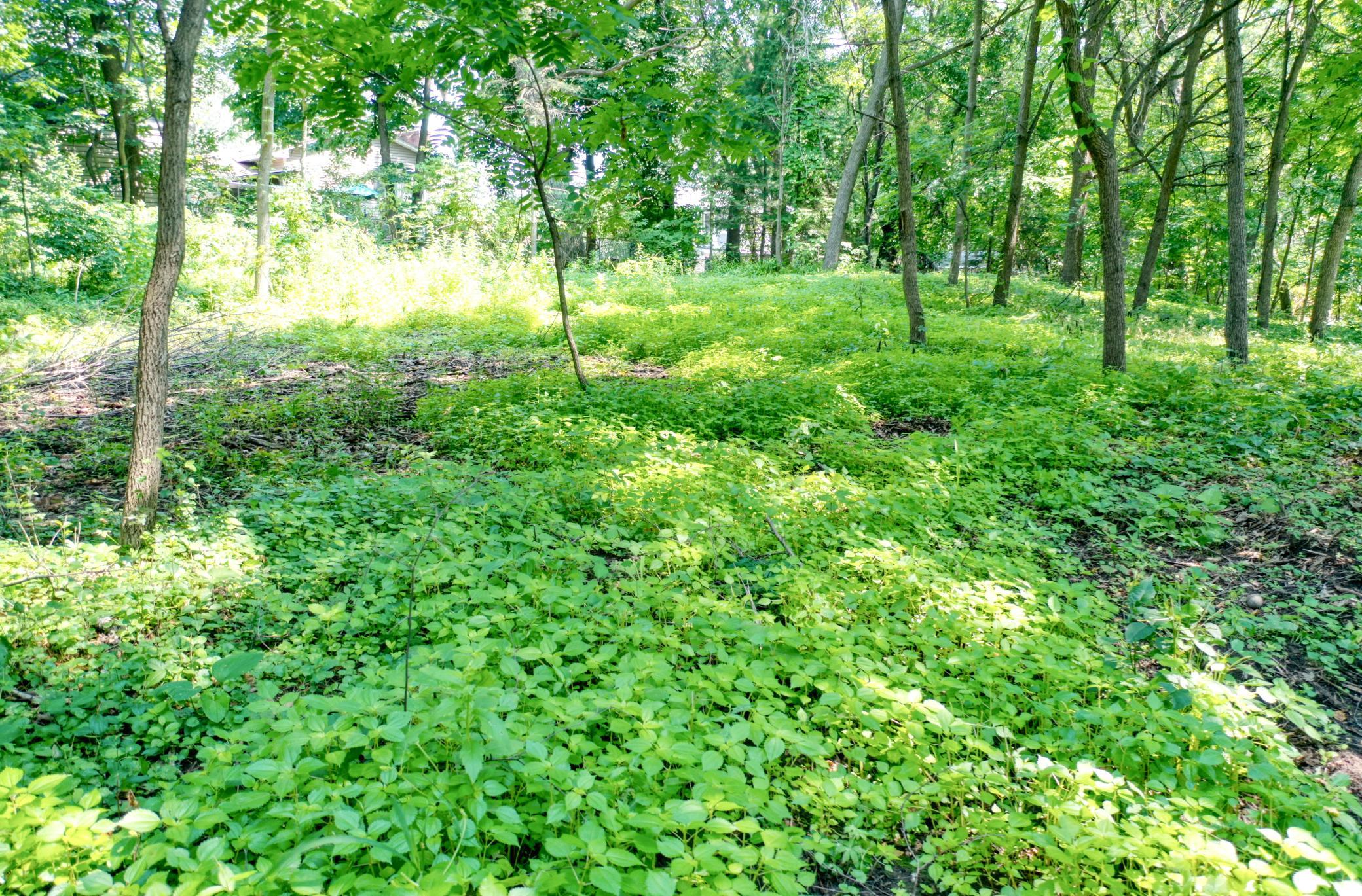 View of Land at TBD 219th Street N, Forest Lake MN 55025, Forest Lake (10 of 10) - Mike Wilen | Minnesota Team Real Estate