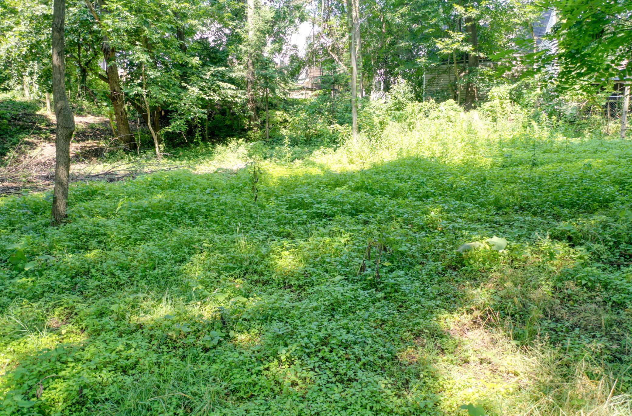View of Land at TBD 219th Street N, Forest Lake MN 55025, Forest Lake (9 of 10) - Mike Wilen | Minnesota Team Real Estate