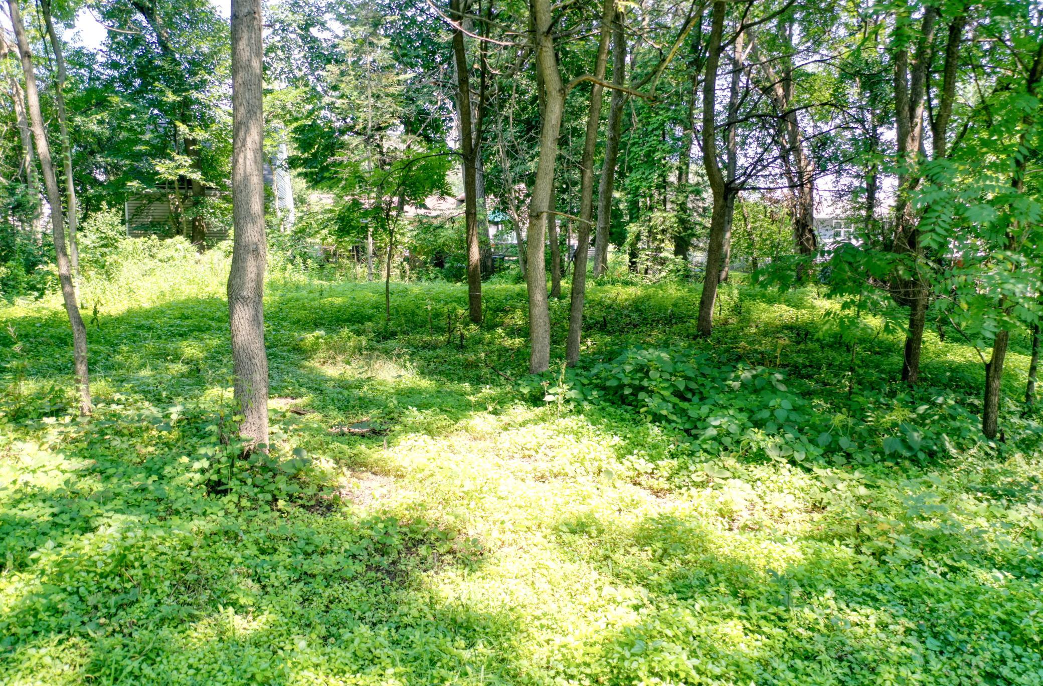 View of Land at TBD 219th Street N, Forest Lake MN 55025, Forest Lake (8 of 10) - Mike Wilen | Minnesota Team Real Estate