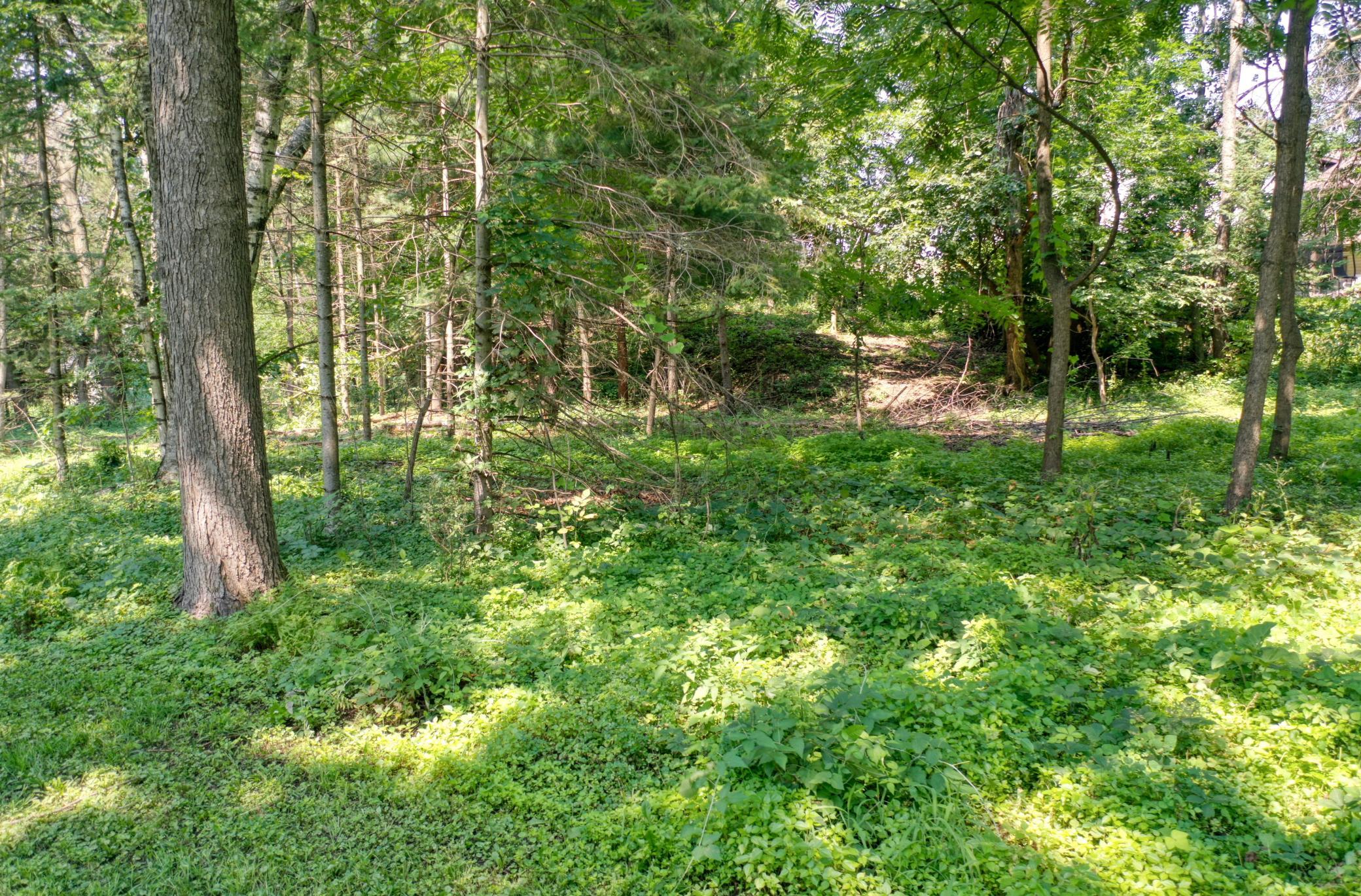 View of Land at TBD 219th Street N, Forest Lake MN 55025, Forest Lake (7 of 10) - Mike Wilen | Minnesota Team Real Estate
