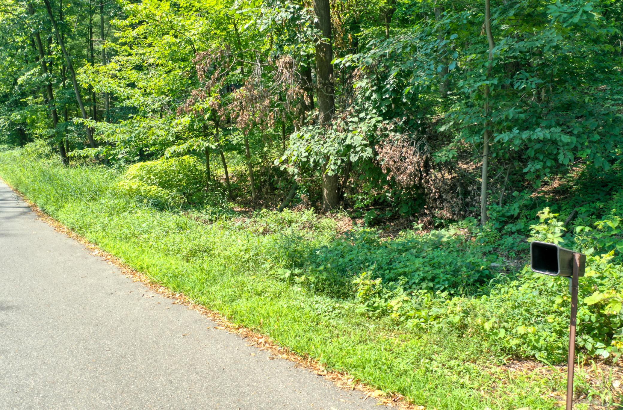 View of Land at TBD 219th Street N, Forest Lake MN 55025, Forest Lake (6 of 10) - Mike Wilen | Minnesota Team Real Estate