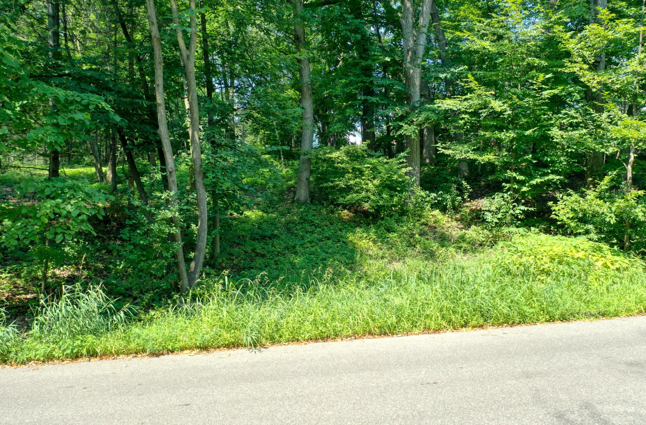 View of Land at TBD 219th Street N, Forest Lake MN 55025, Forest Lake (5 of 10) - Mike Wilen | Minnesota Team Real Estate