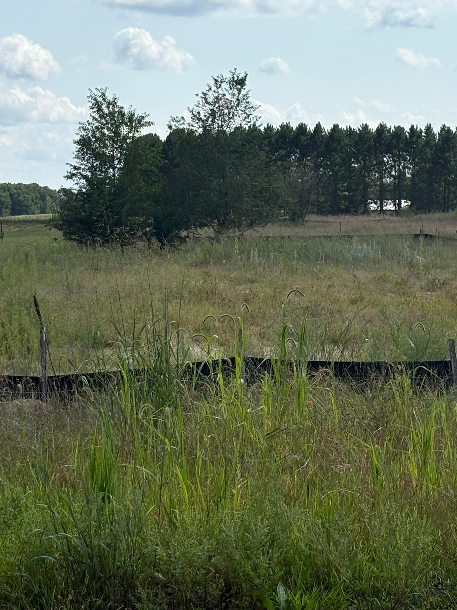 View of Land at TBD 363rd Street, North Branch MN 55056, North Branch (2 of 3) - Mike Wilen | Minnesota Team Real Estate