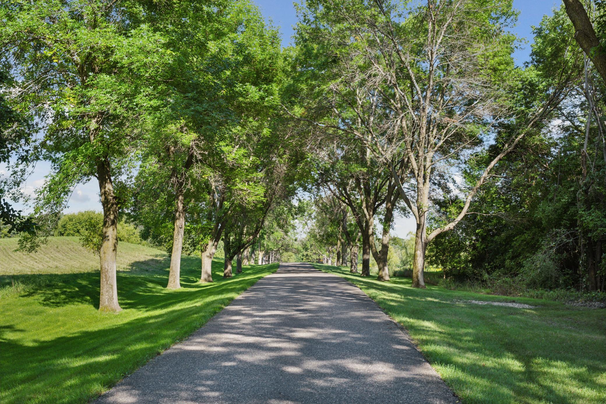 View of Residential at 1420 Tamarack Drive, Medina MN 55356, Medina (58 of 64) - Mike Wilen | Minnesota Team Real Estate