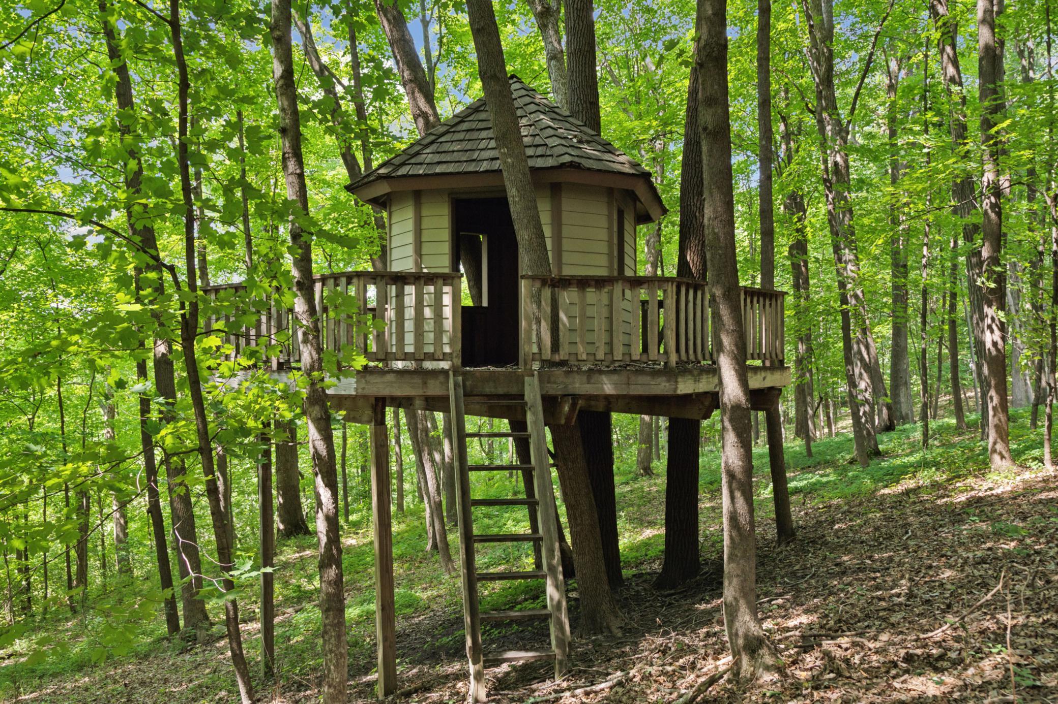 View of Residential at 1420 Tamarack Drive, Medina MN 55356, Medina (60 of 64) - Mike Wilen | Minnesota Team Real Estate