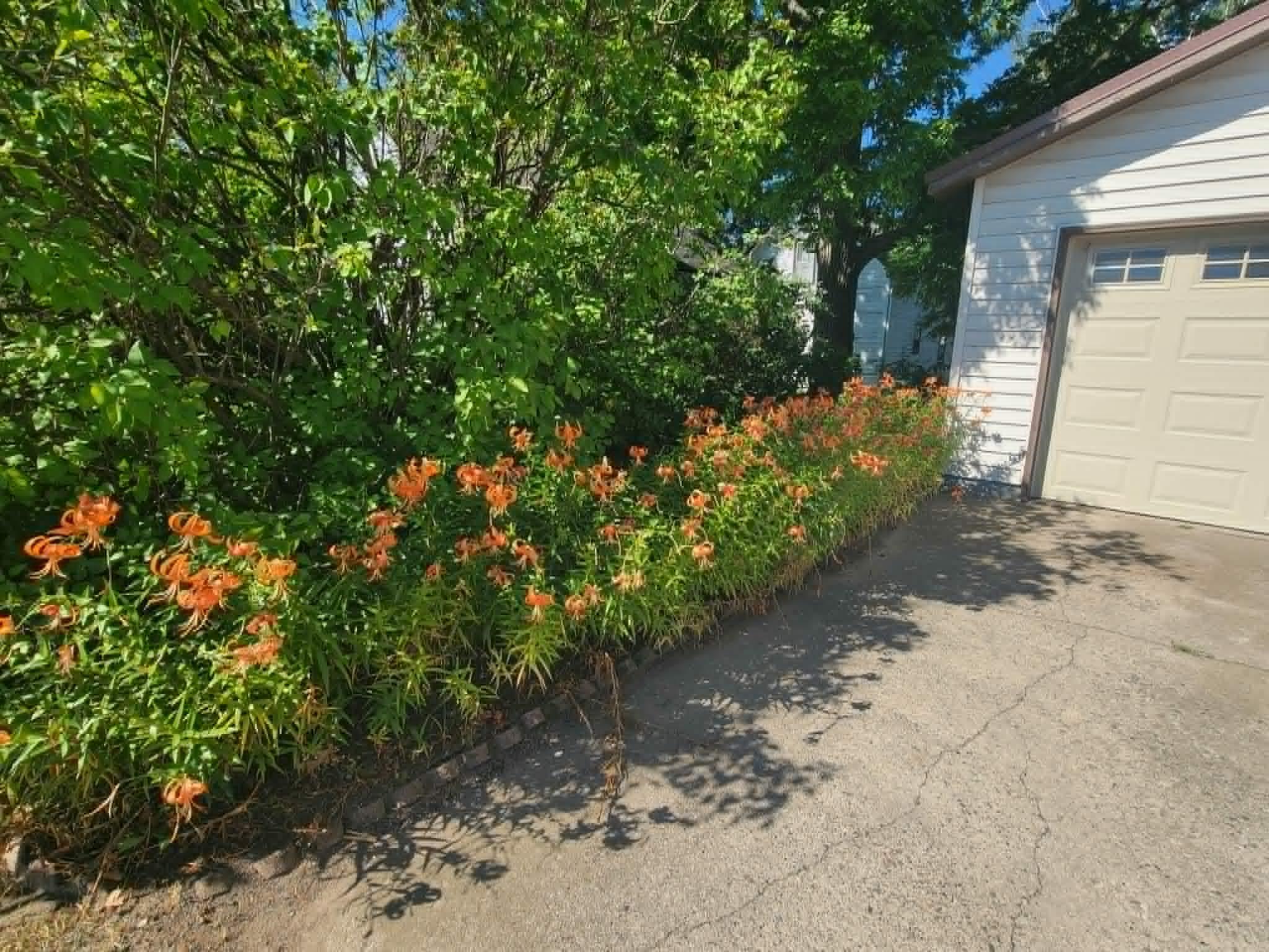 View of Residential at 460 4th Avenue, Isle MN 56342, Isle (25 of 28) - Mike Wilen | Minnesota Team Real Estate