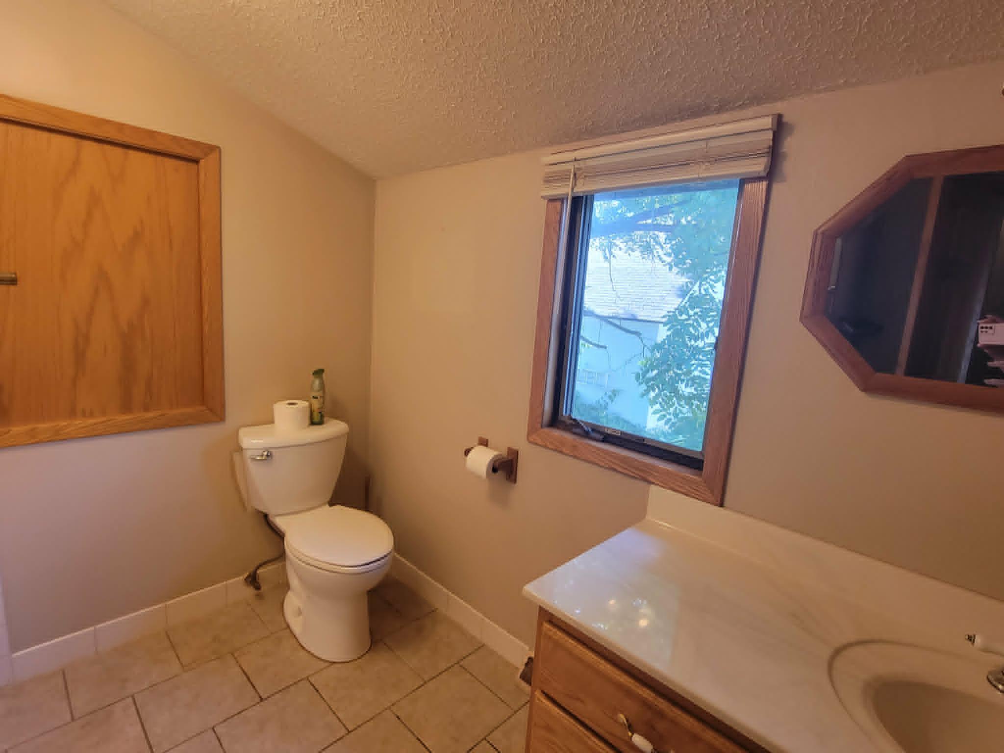 View of Residential at 460 4th Avenue, Isle MN 56342, Isle (23 of 28) - Mike Wilen | Minnesota Team Real Estate