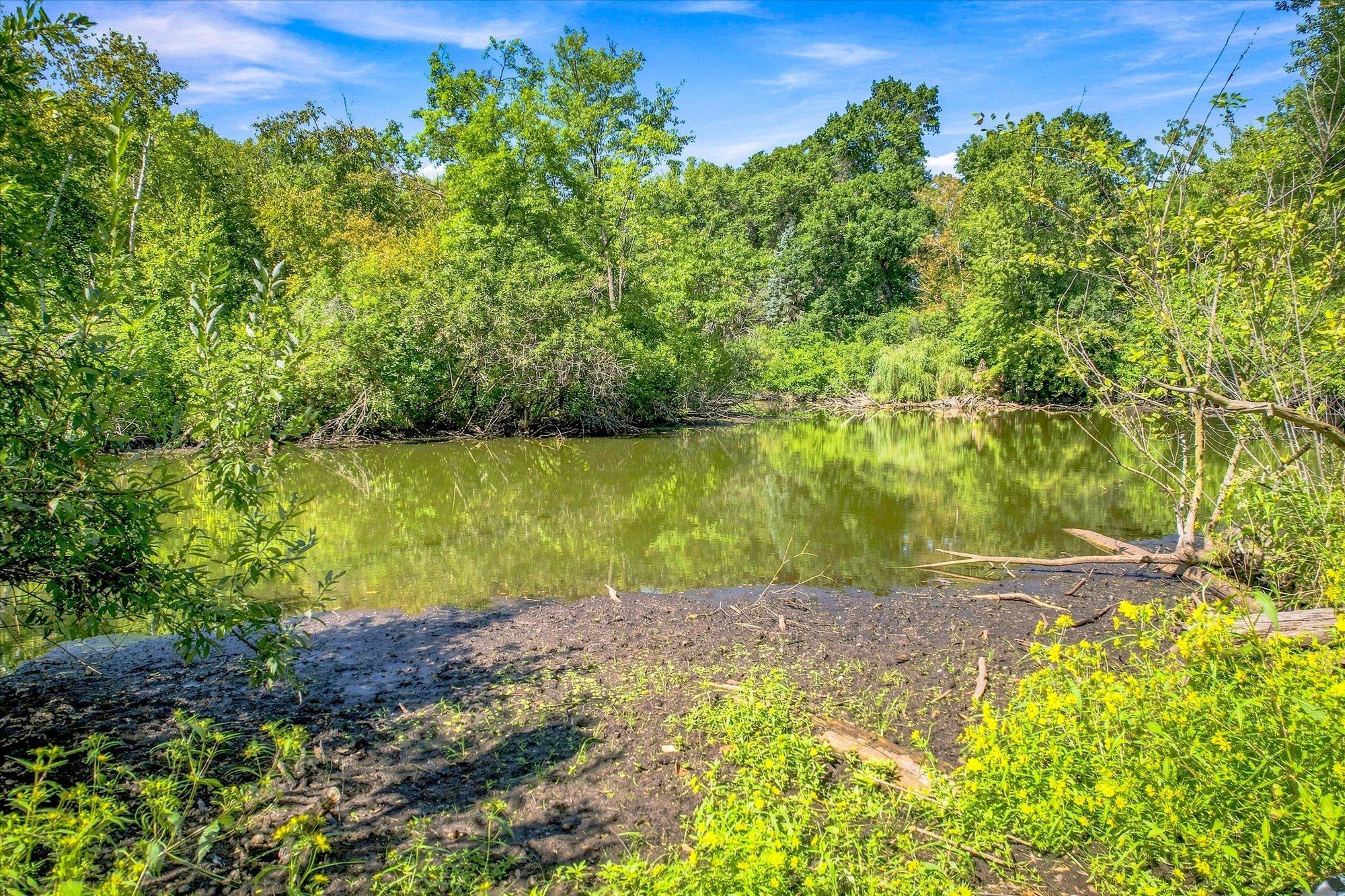 View of Residential at 111 Teresa Drive, West Saint Paul MN 55118, West Saint Paul (74 of 81) - Mike Wilen | Minnesota Team Real Estate