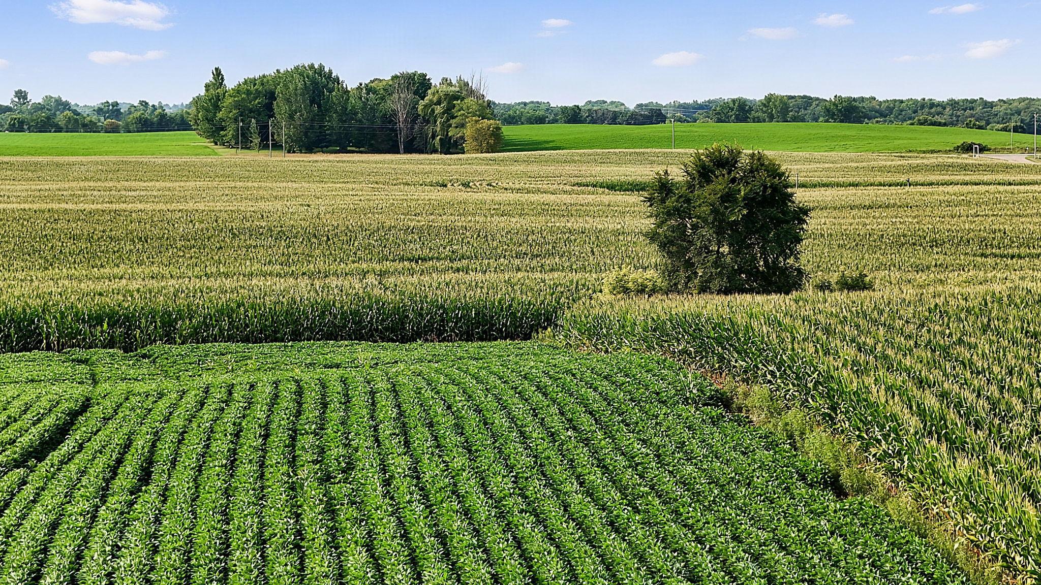 View of Land at 8186 85th Street, Monticello MN 55362, Monticello (17 of 22) - Mike Wilen | Minnesota Team Real Estate