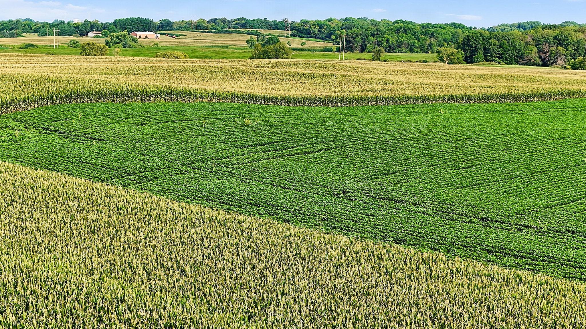 View of Land at 8186 85th Street, Monticello MN 55362, Monticello (5 of 22) - Mike Wilen | Minnesota Team Real Estate