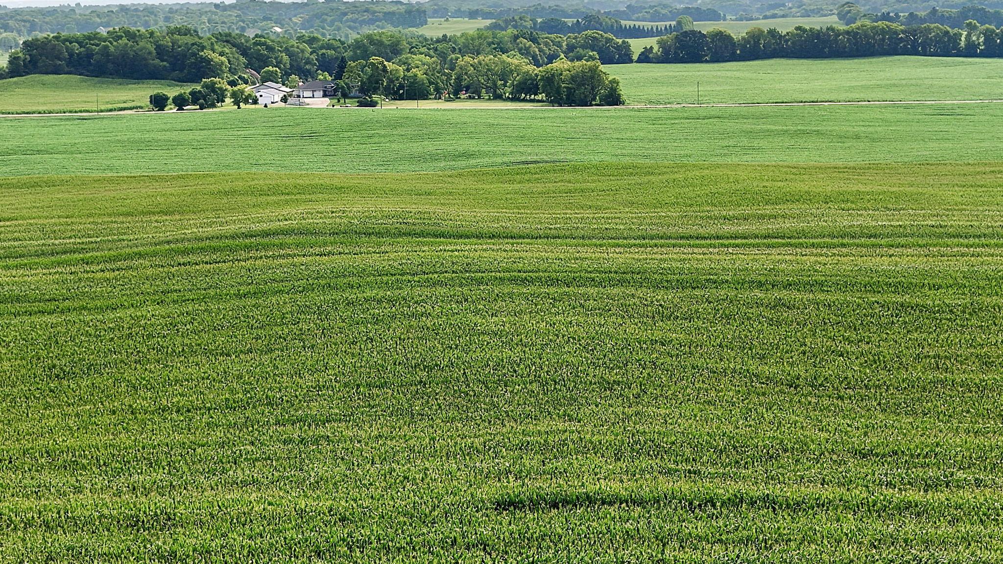 View of Land at 8186 85th Street, Monticello MN 55362, Monticello (4 of 22) - Mike Wilen | Minnesota Team Real Estate