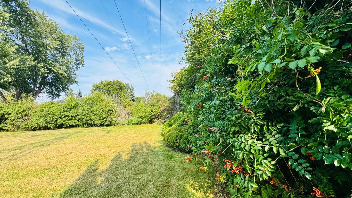 View of Residential at 1716 Oakcrest Avenue, Roseville MN 55113, Roseville (25 of 25) - Mike Wilen | Minnesota Team Real Estate