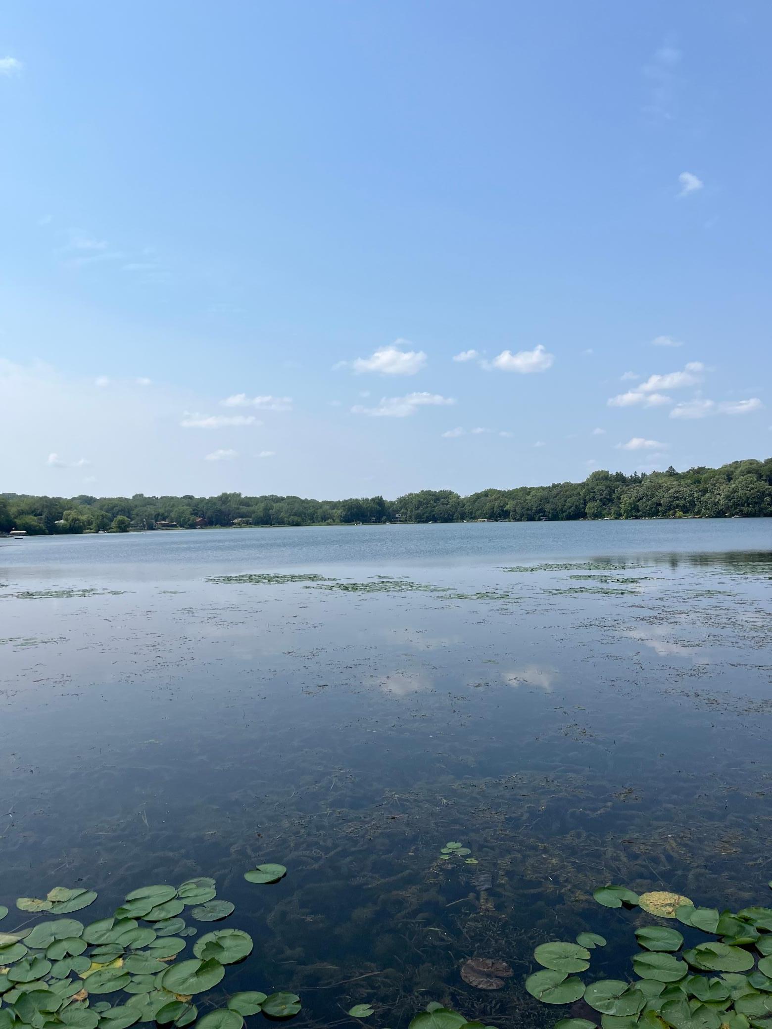 View of Land at 218 Mccarrons Place, Roseville MN 55113, Roseville (3 of 3) - Mike Wilen | Minnesota Team Real Estate