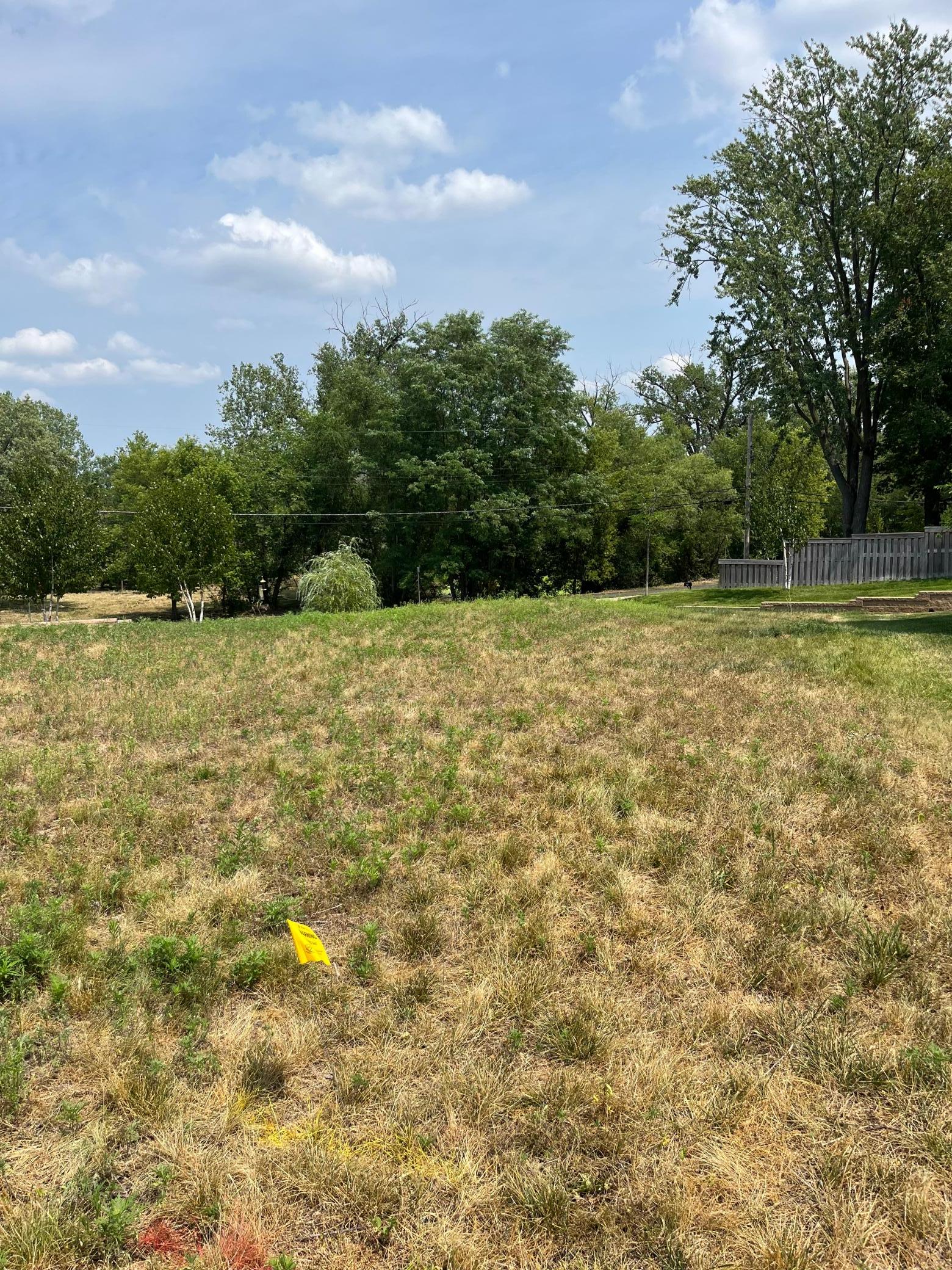 View of Land at 226 Mccarrons Place, Roseville MN 55113, Roseville - Mike Wilen | Minnesota Team Real Estate