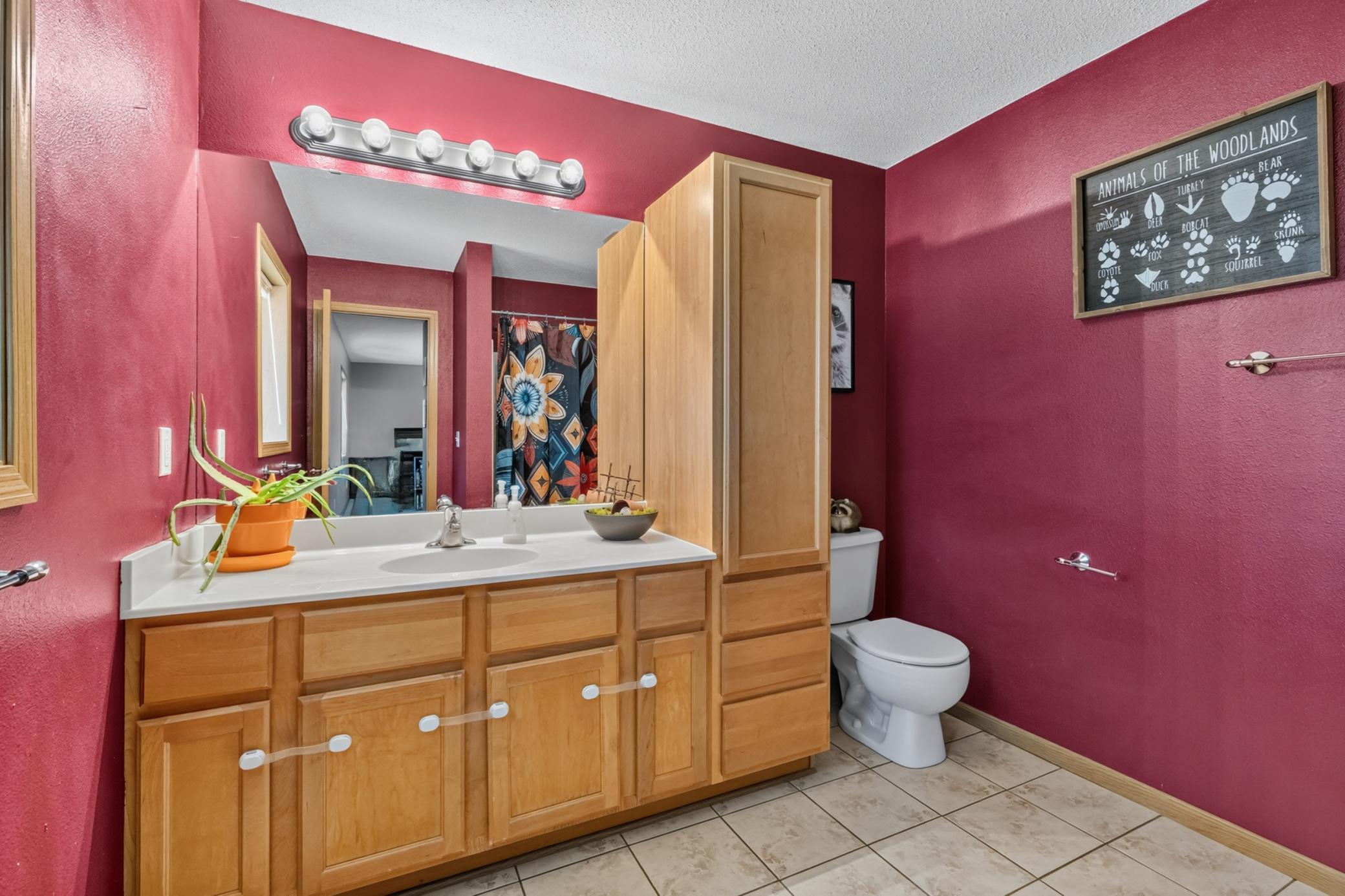 View of Residential at 431 Cedar Place, Maple Lake MN 55358, Maple Lake (22 of 25) - Mike Wilen | Minnesota Team Real Estate
