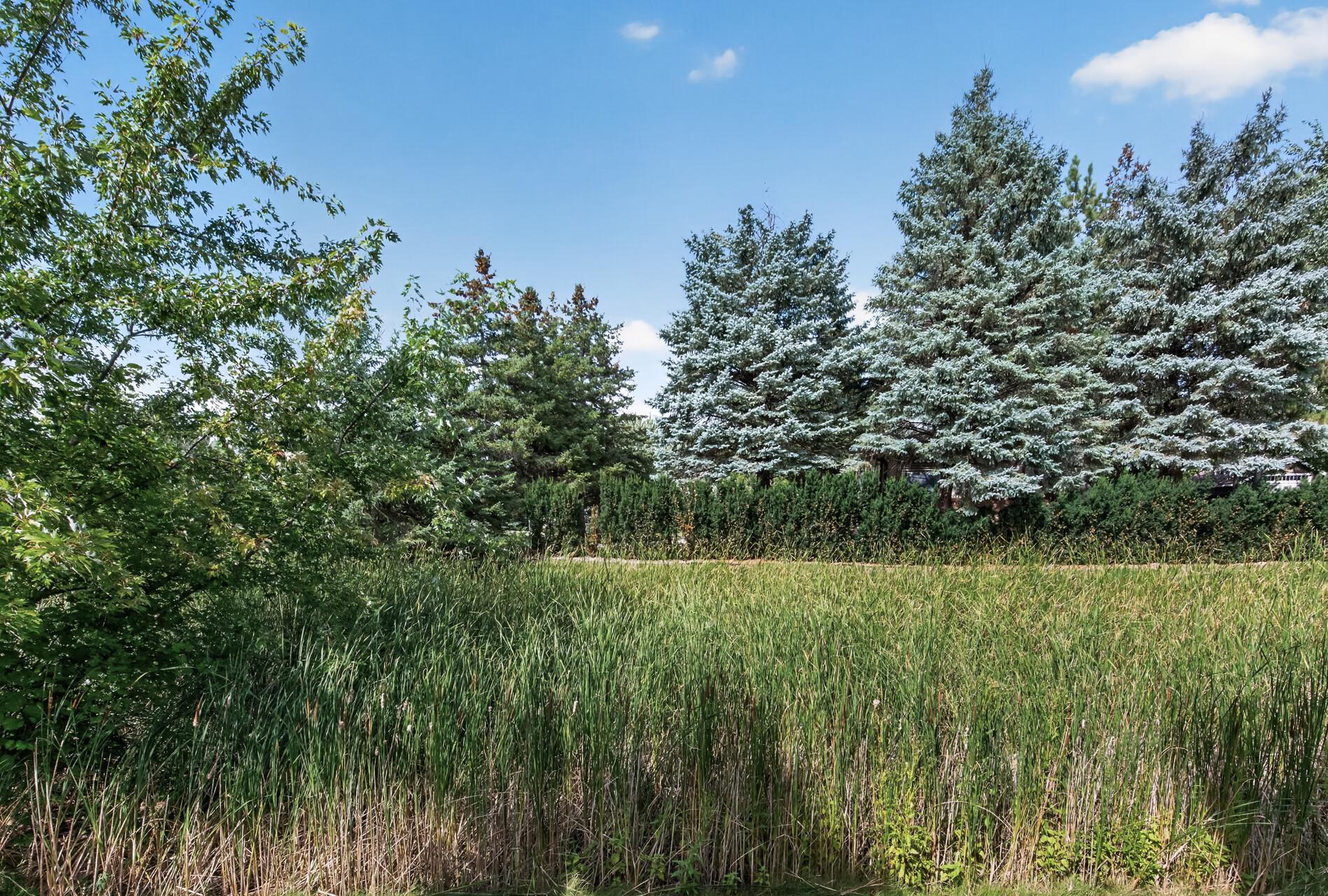 View of Residential at 8328 151st Street, Savage MN 55378, Savage (30 of 36) - Mike Wilen | Minnesota Team Real Estate