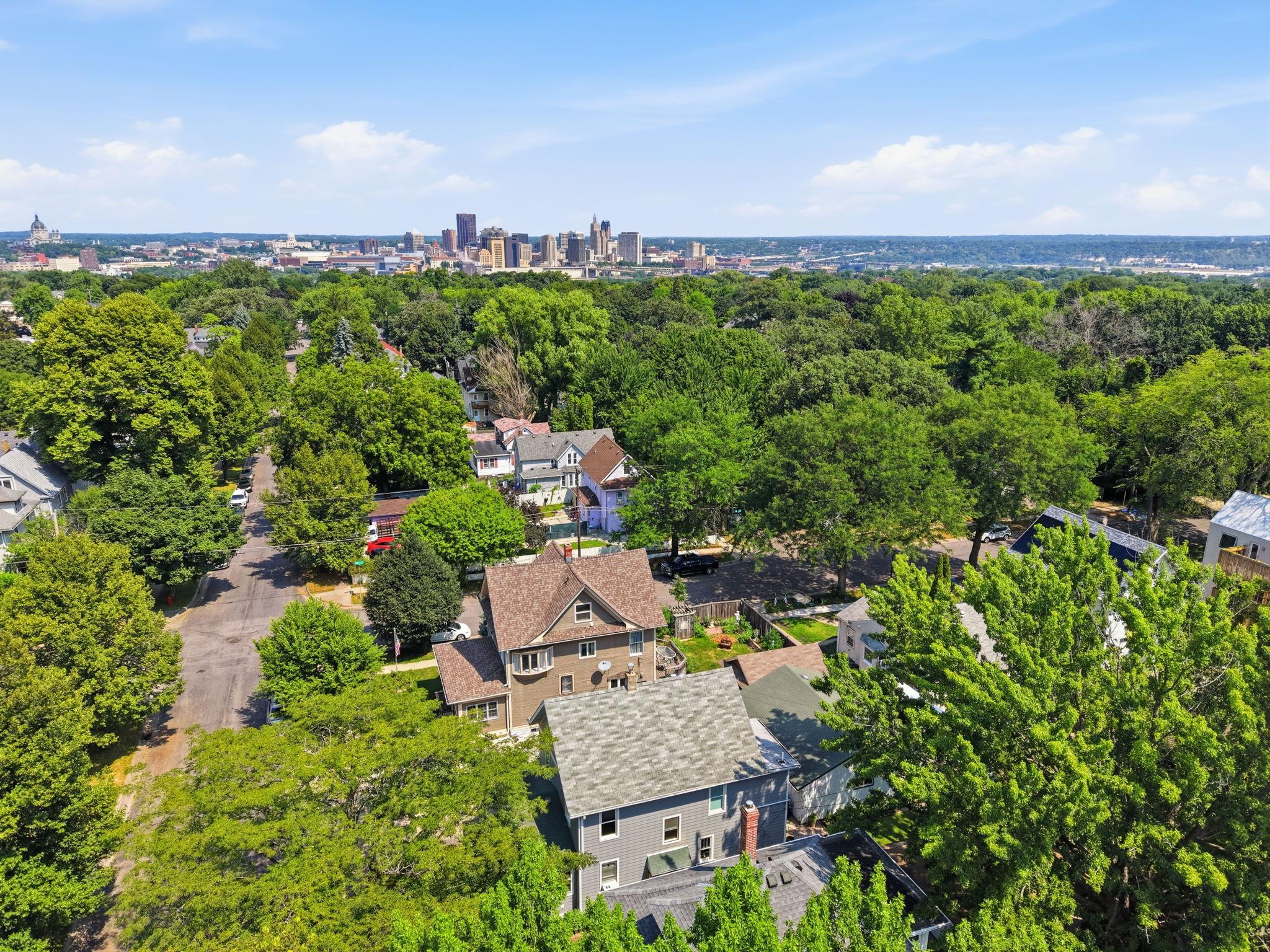View of Residential at 718 Manomin Avenue, Saint Paul MN 55107, Saint Paul (36 of 50) - Mike Wilen | Minnesota Team Real Estate