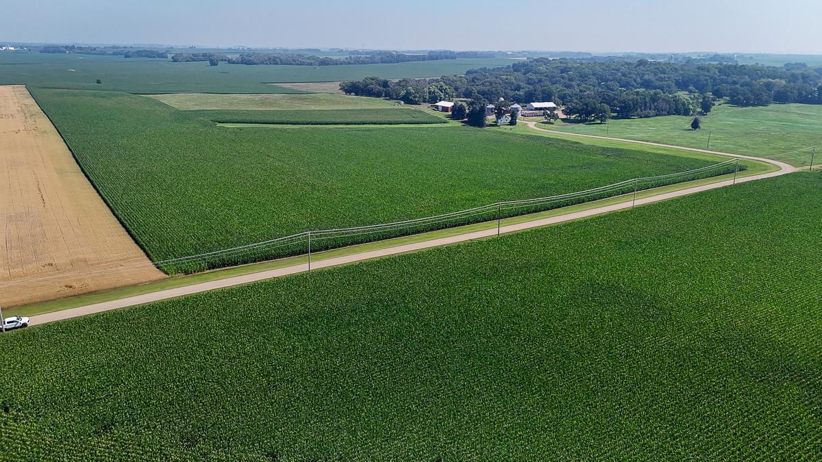 View of Land at 10998 Point Douglas Drive, Hastings MN 55033, Hastings (2 of 90) - Mike Wilen | Minnesota Team Real Estate