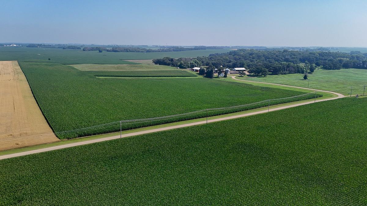 View of Land at 10998 Point Douglas Drive, Hastings MN 55033, Hastings (3 of 90) - Mike Wilen | Minnesota Team Real Estate