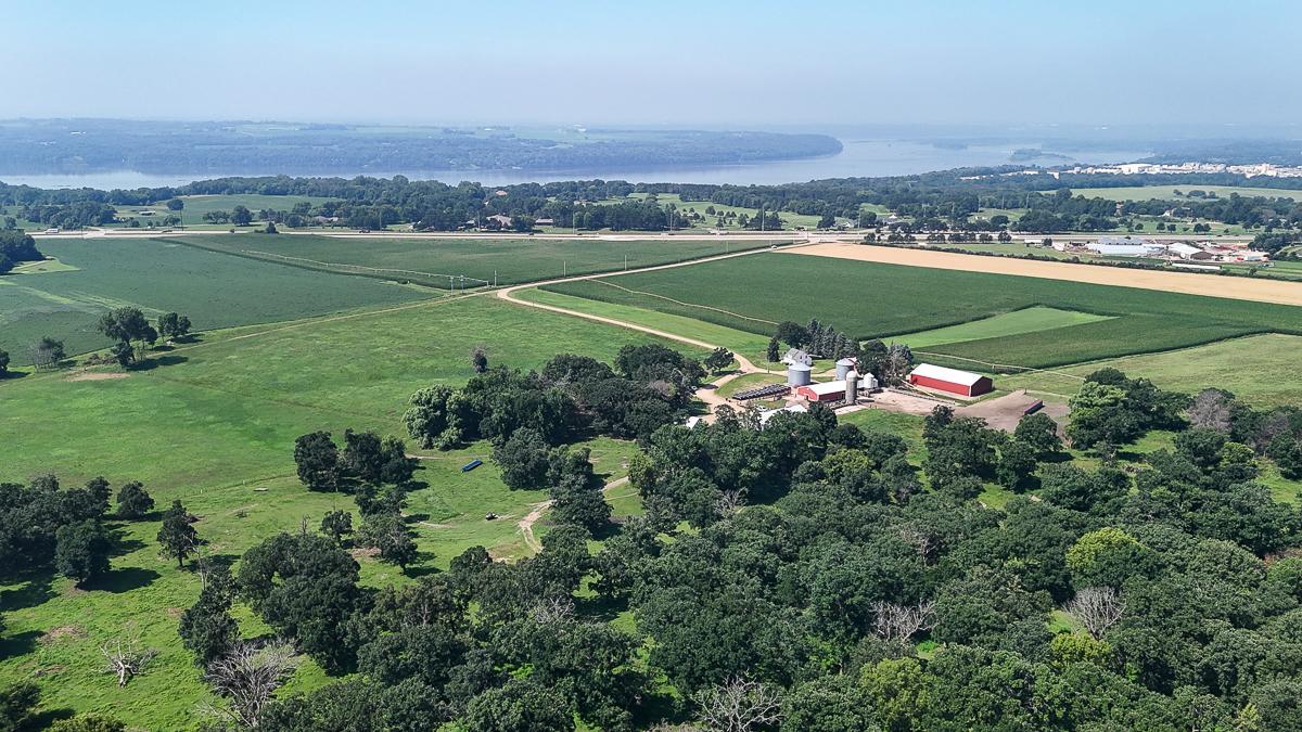 View of Land at 10998 Point Douglas Drive, Hastings MN 55033, Hastings (30 of 90) - Mike Wilen | Minnesota Team Real Estate