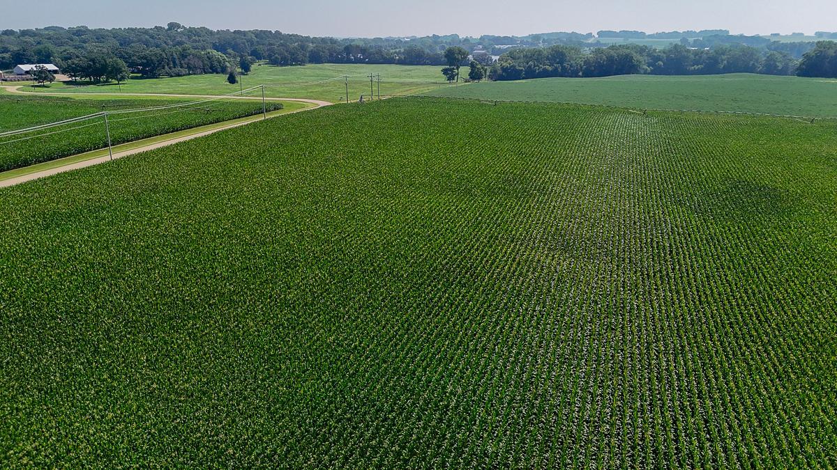 View of Land at 10998 Point Douglas Drive, Hastings MN 55033, Hastings (62 of 90) - Mike Wilen | Minnesota Team Real Estate