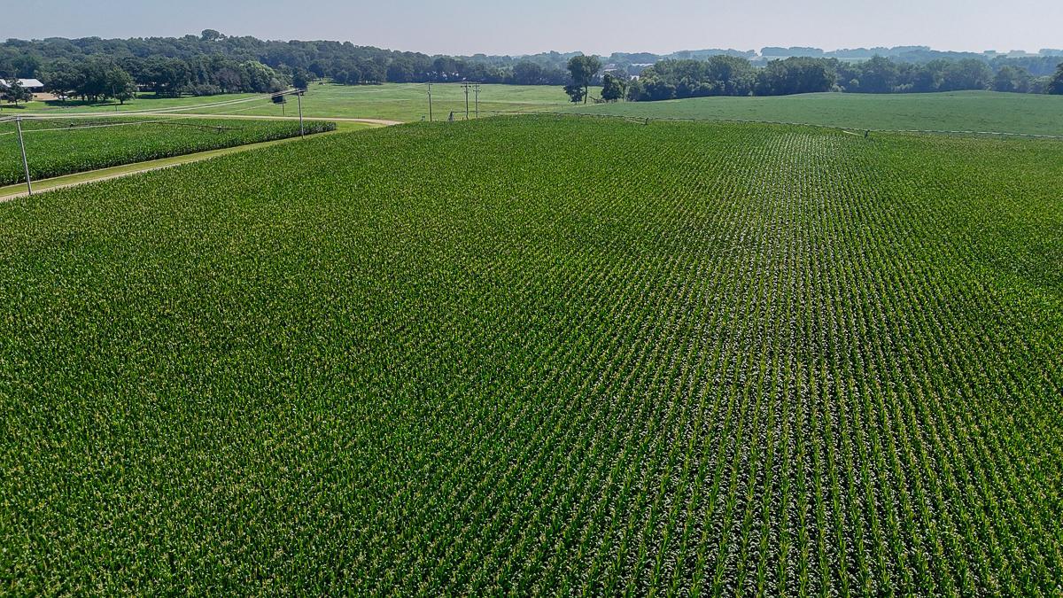 View of Land at 10998 Point Douglas Drive, Hastings MN 55033, Hastings (63 of 90) - Mike Wilen | Minnesota Team Real Estate