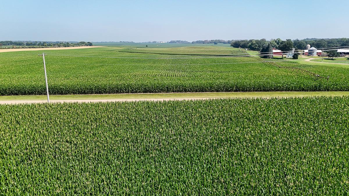View of Land at 10998 Point Douglas Drive, Hastings MN 55033, Hastings (67 of 90) - Mike Wilen | Minnesota Team Real Estate