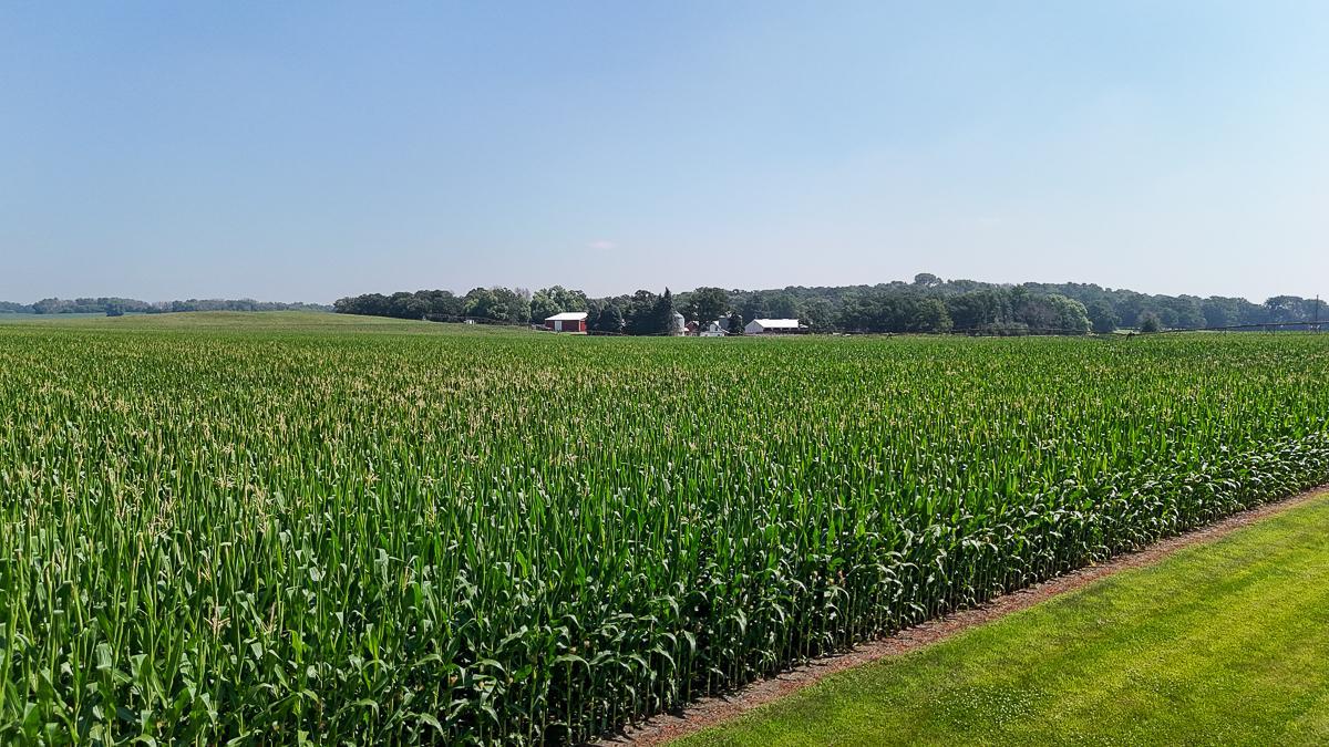 View of Land at 10998 Point Douglas Drive, Hastings MN 55033, Hastings (85 of 90) - Mike Wilen | Minnesota Team Real Estate