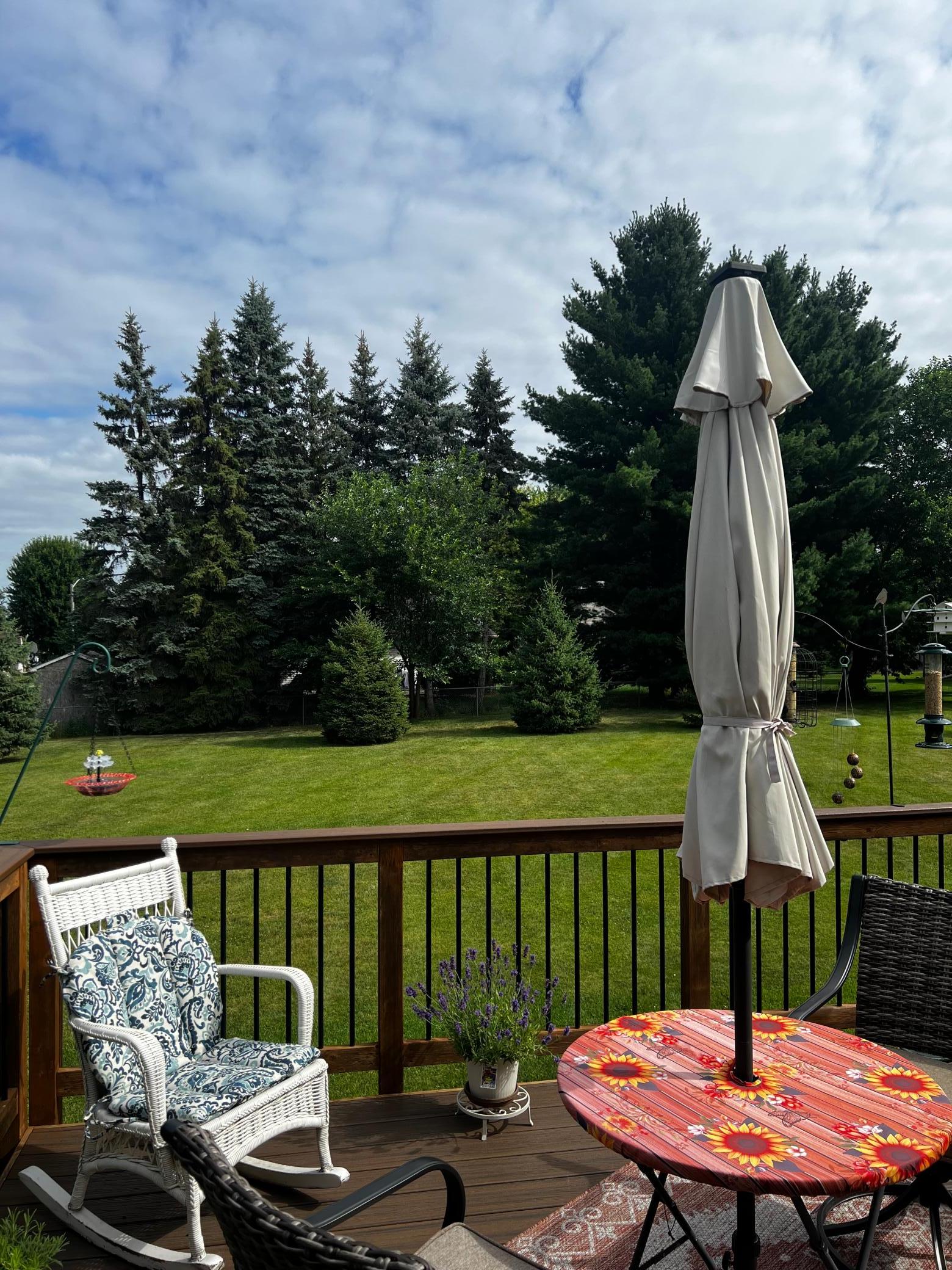 View of Residential at 2365 Skillman Avenue, North Saint Paul MN 55109, North Saint Paul (39 of 40) - Mike Wilen | Minnesota Team Real Estate