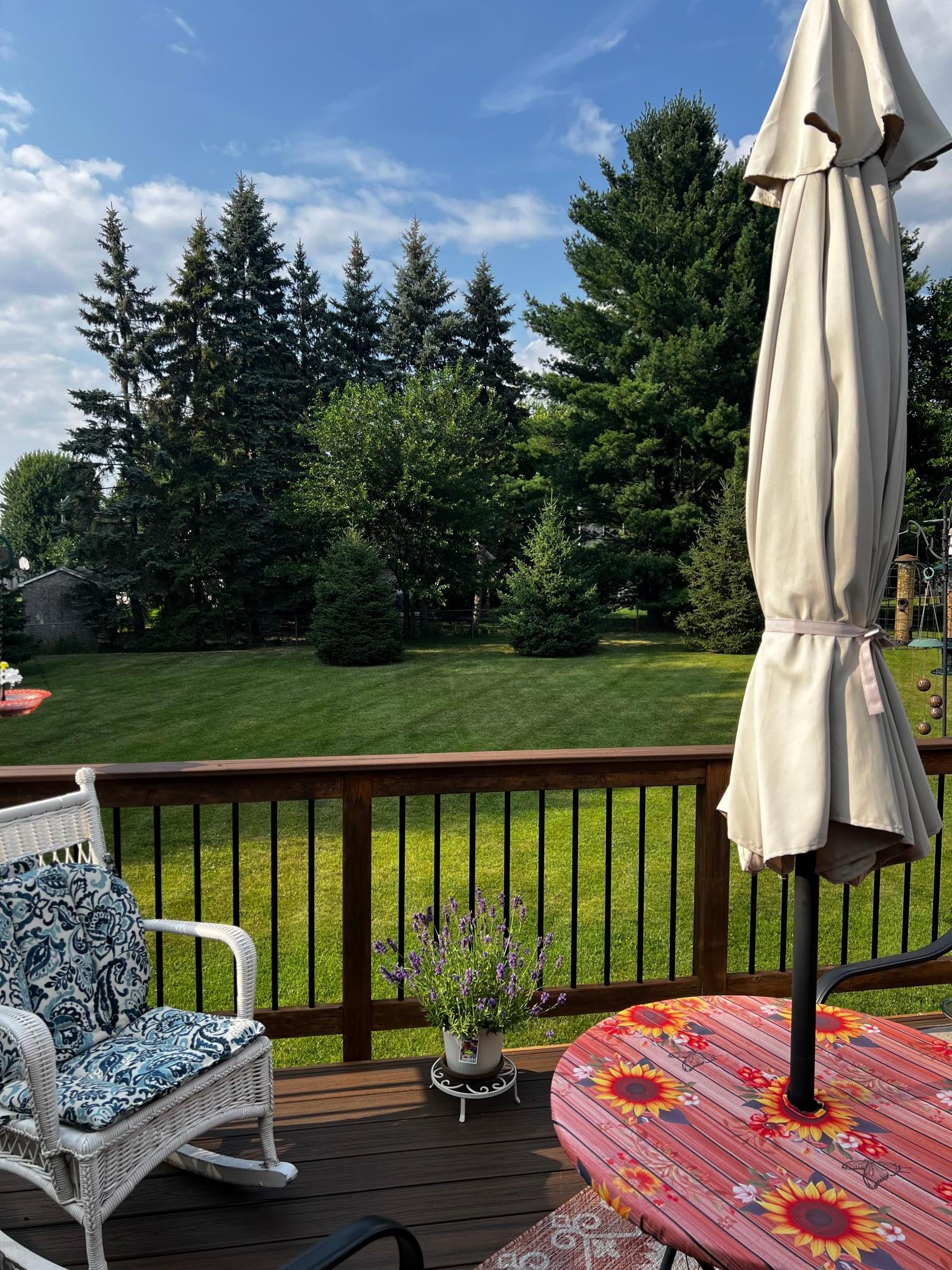 View of Residential at 2365 Skillman Avenue, North Saint Paul MN 55109, North Saint Paul (37 of 40) - Mike Wilen | Minnesota Team Real Estate