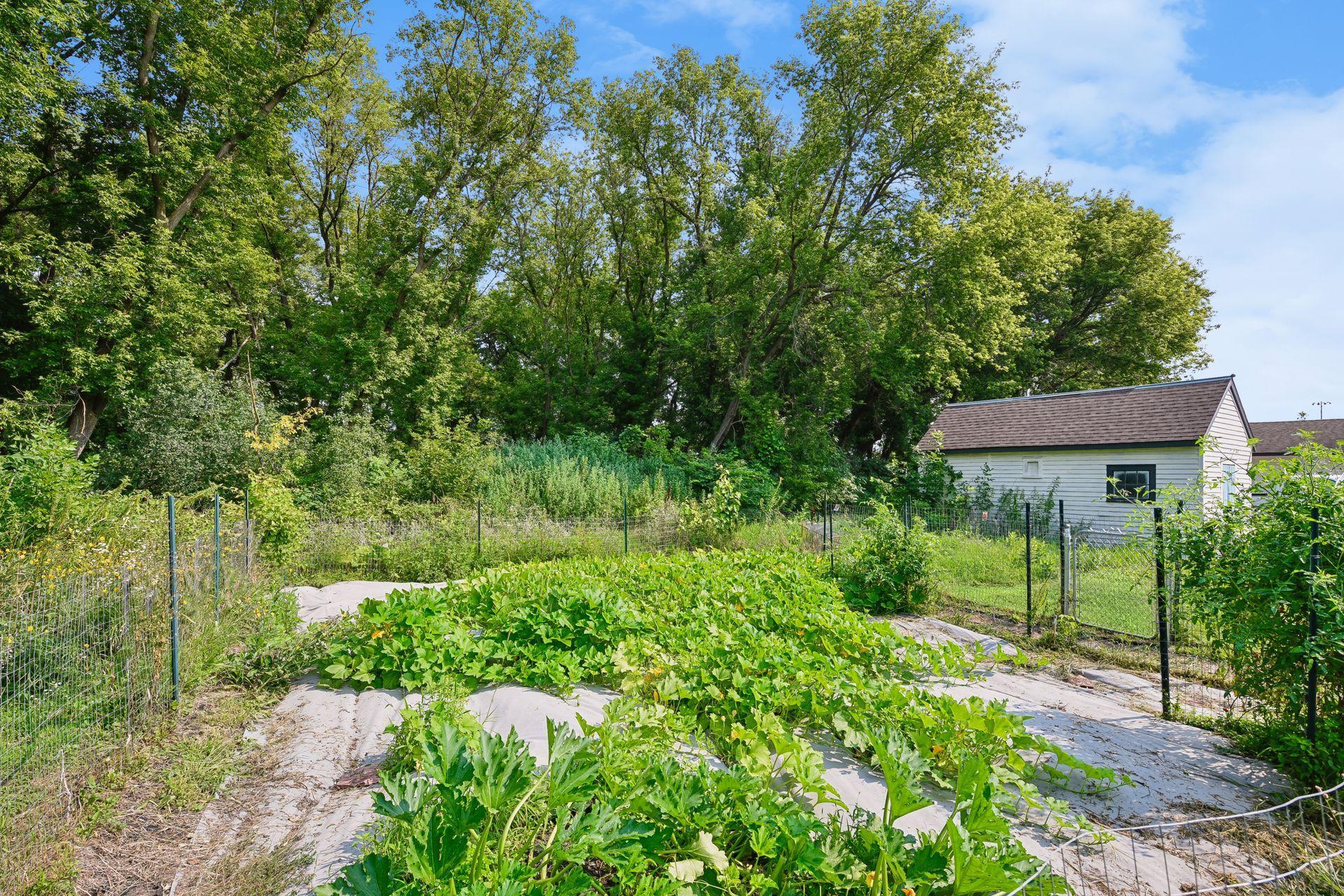 View of Residential at 510 Jacob Street, Hamburg MN 55339, Hamburg (29 of 32) - Mike Wilen | Minnesota Team Real Estate