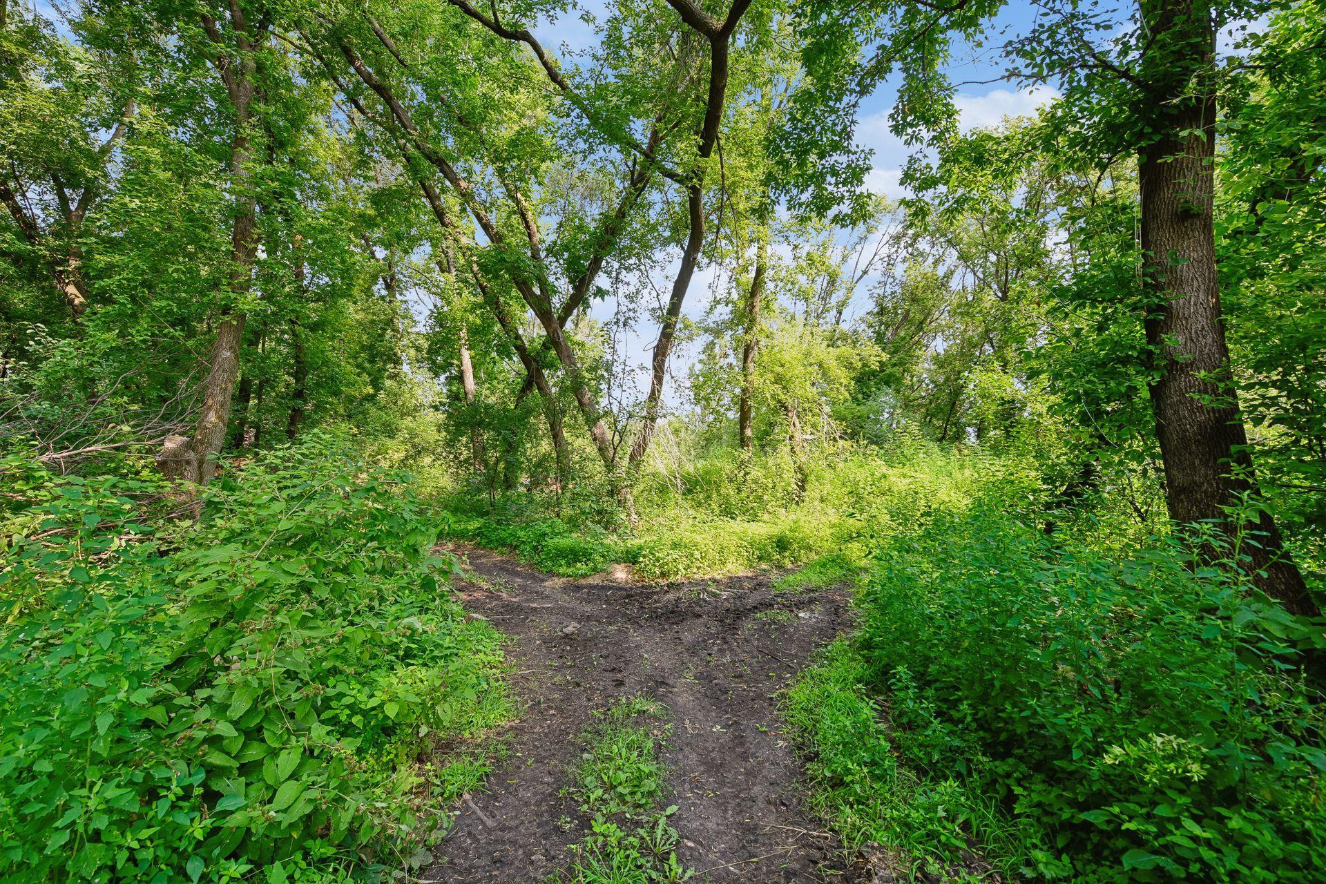 View of Residential at 510 Jacob Street, Hamburg MN 55339, Hamburg (28 of 32) - Mike Wilen | Minnesota Team Real Estate