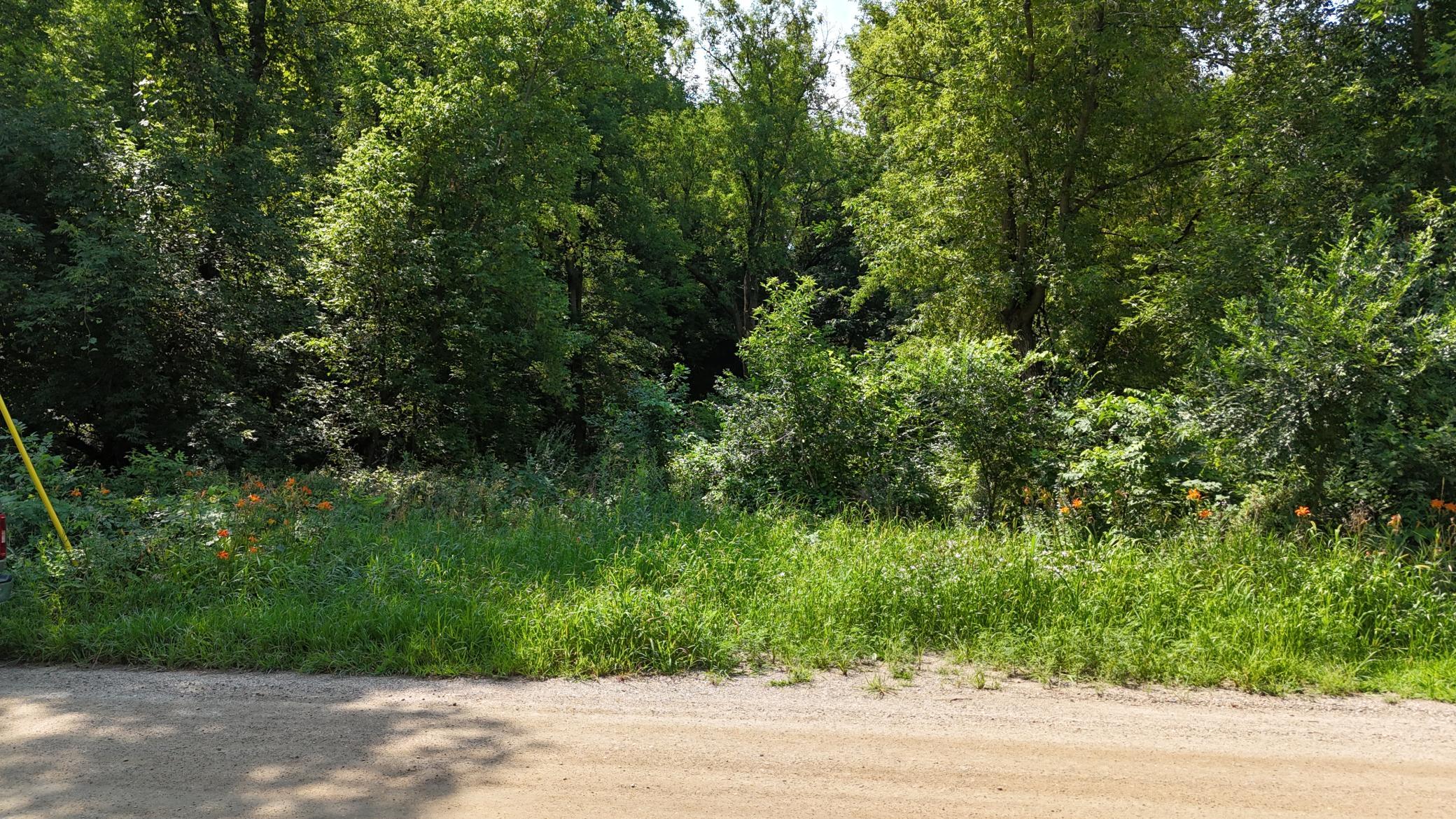 View of Land at 16XXX 107th Street, South Haven MN 55382, South Haven (2 of 13) - Mike Wilen | Minnesota Team Real Estate