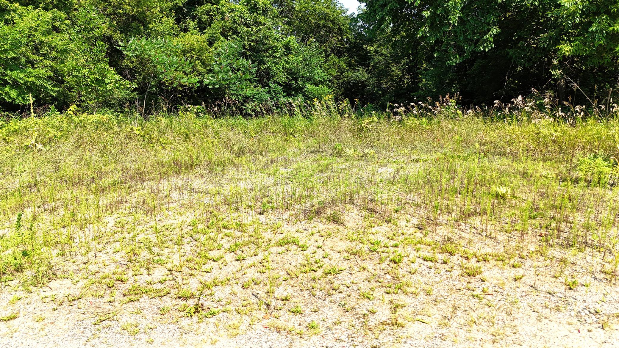 View of Land at 16XXX 107th Street, South Haven MN 55382, South Haven (4 of 13) - Mike Wilen | Minnesota Team Real Estate