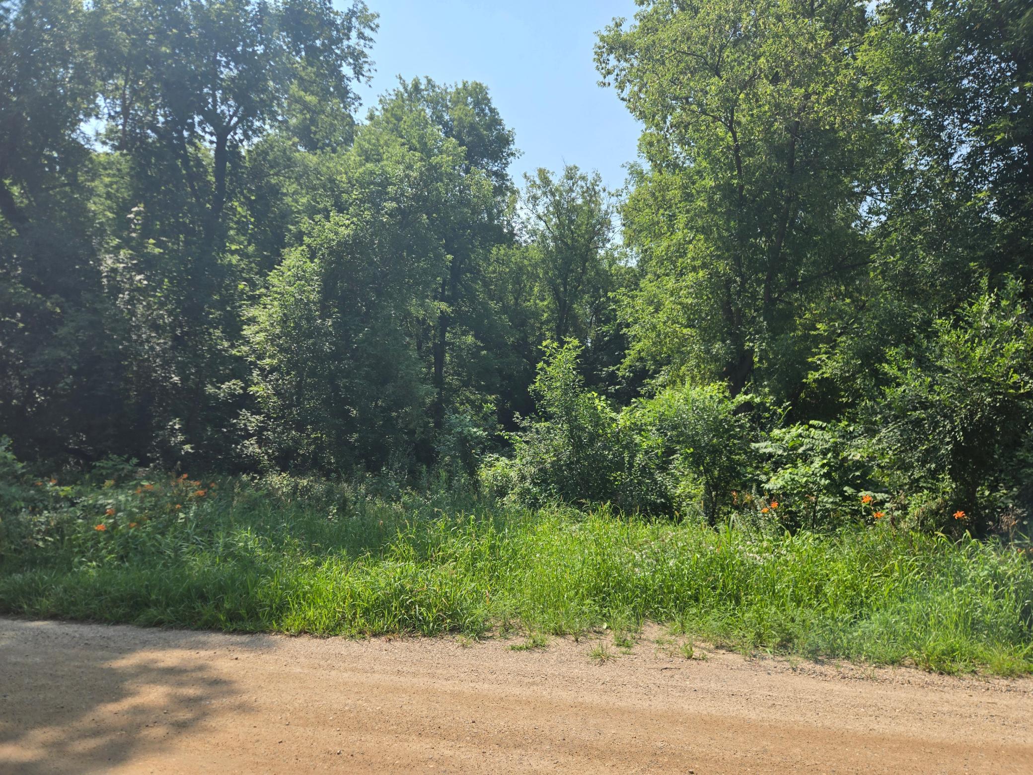 View of Land at 16XXX 107th Street, South Haven MN 55382, South Haven (10 of 13) - Mike Wilen | Minnesota Team Real Estate